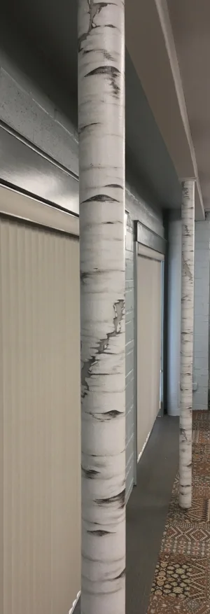 The final birch trees