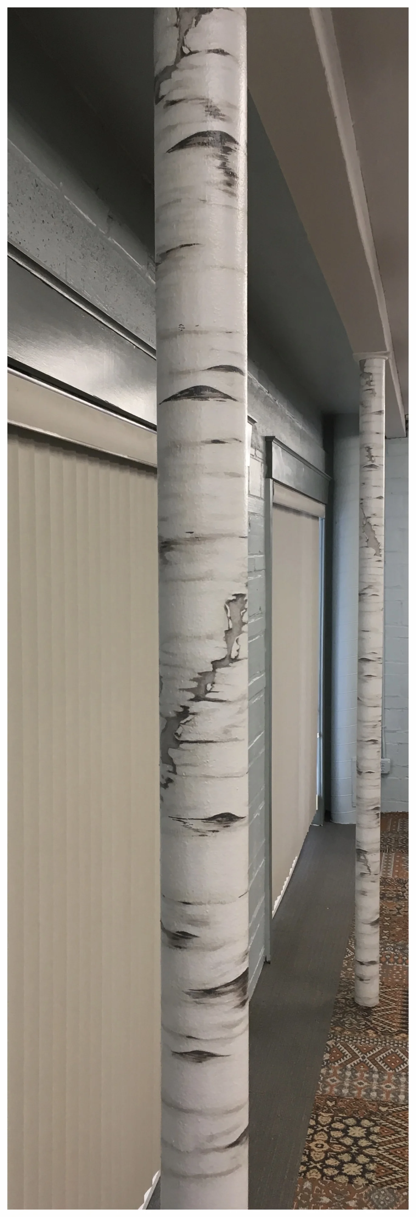 Birch Tree Column Murals