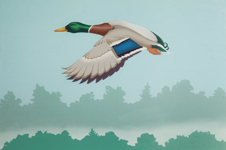 mallard.jpg