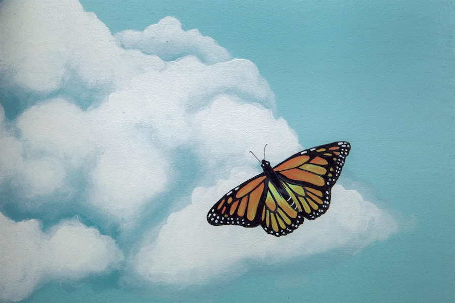 butterfly.jpg