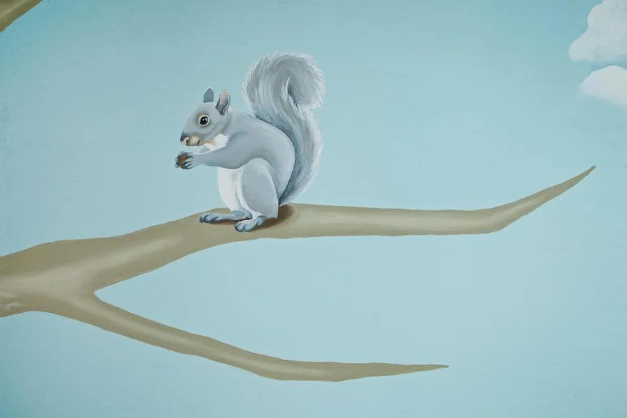 squirrel.jpg
