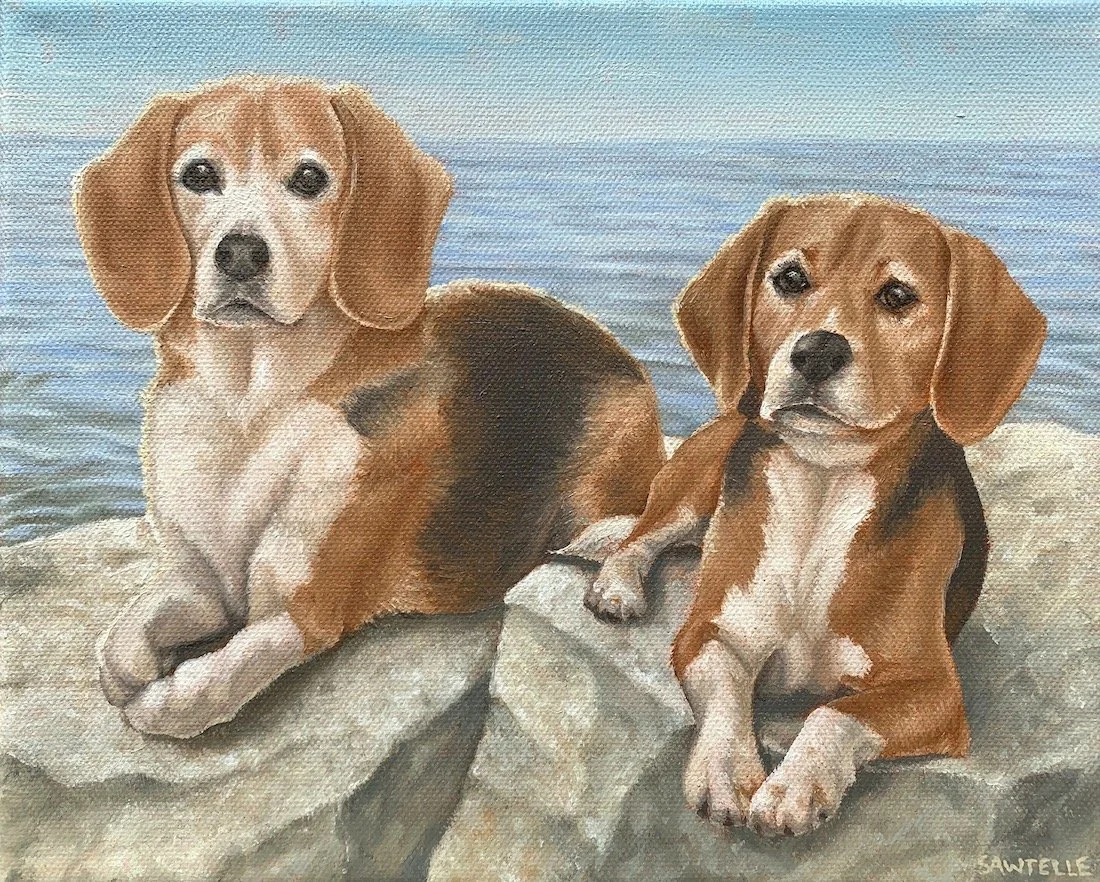 10"x8" dog portrait/ oil on canvas