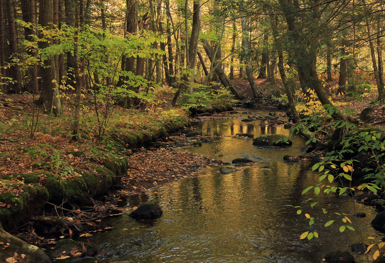 Tankerhoosen River, Vernon, CT