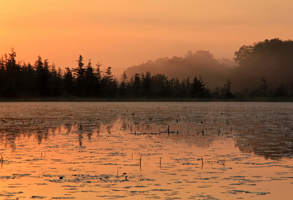   Sunrise, Upper Bolton Lake, Tolland, CT  