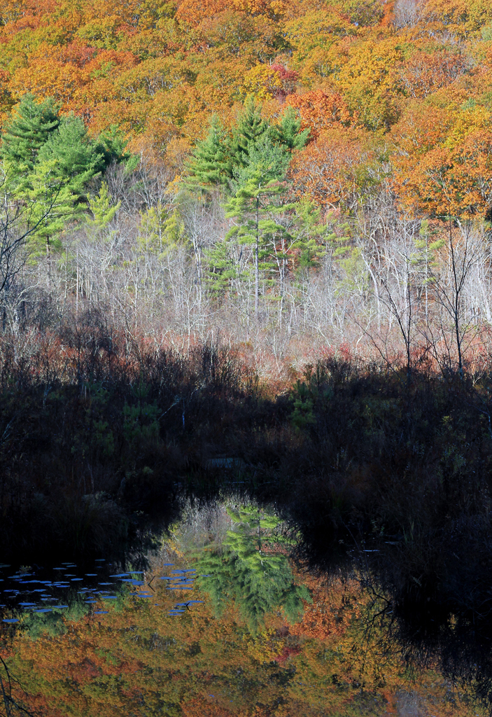 Boston Hollow, Ashford, CT