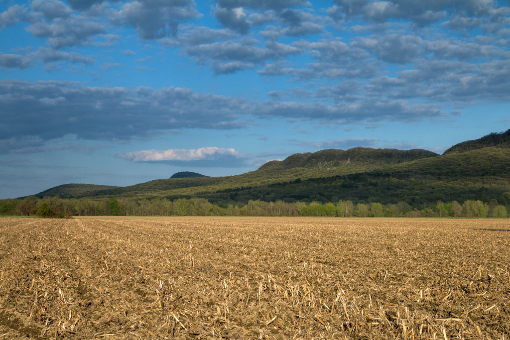 After the Harvest, Hadley and the Holyoke Range, MA