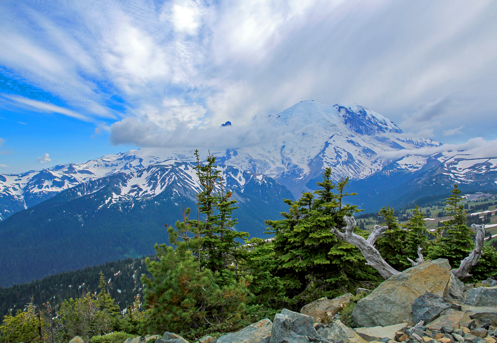   Mt. Ranier, WA  