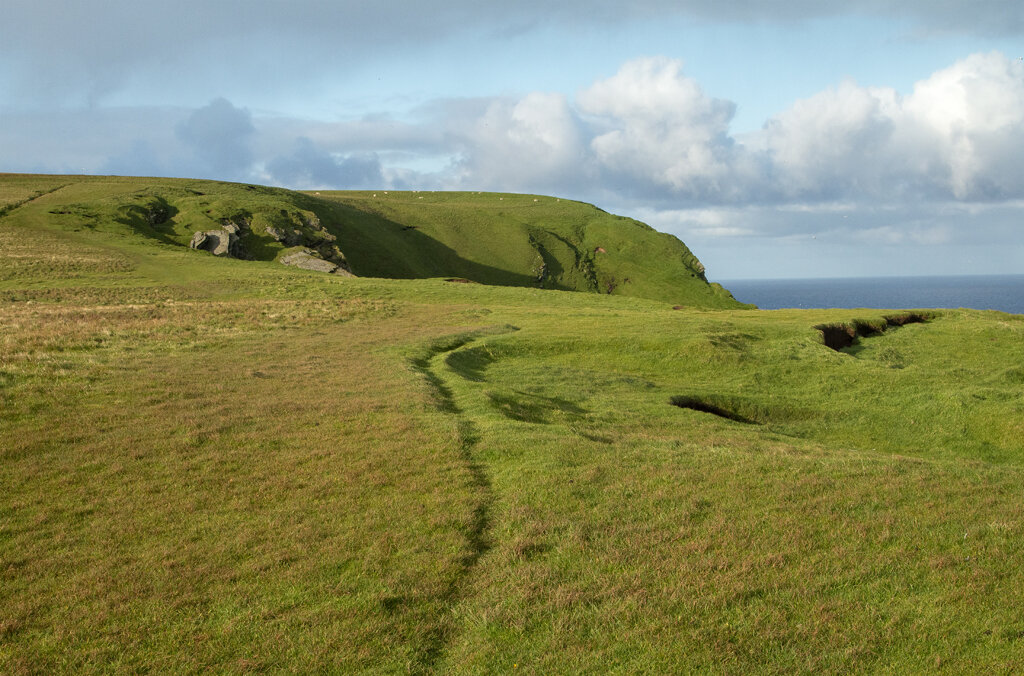   Hermaness National Nature Reserve, Shetland Islands, Scotland  