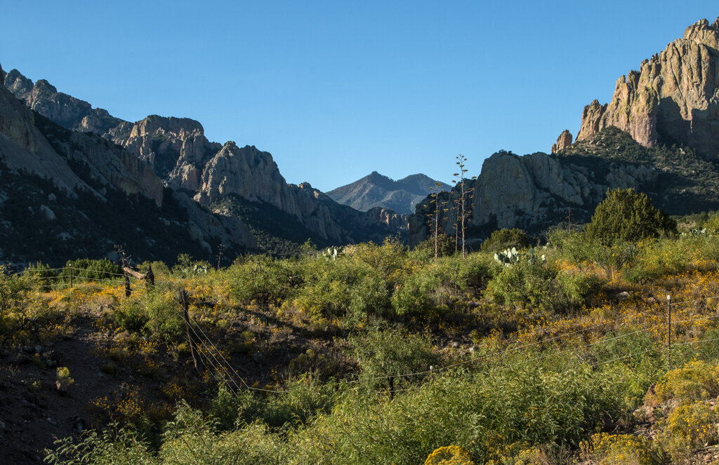   Cave Creek Canyon, Chiricahua Mountains, AZ  