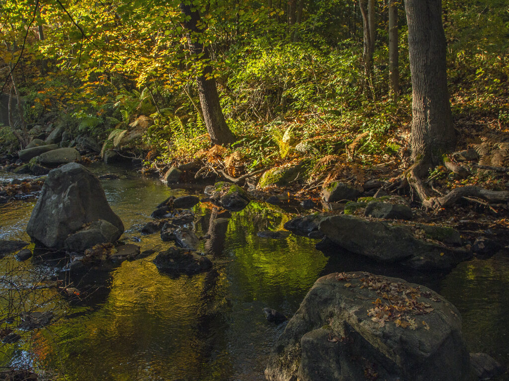   Morgan Brook, Barkhampstead, CT  