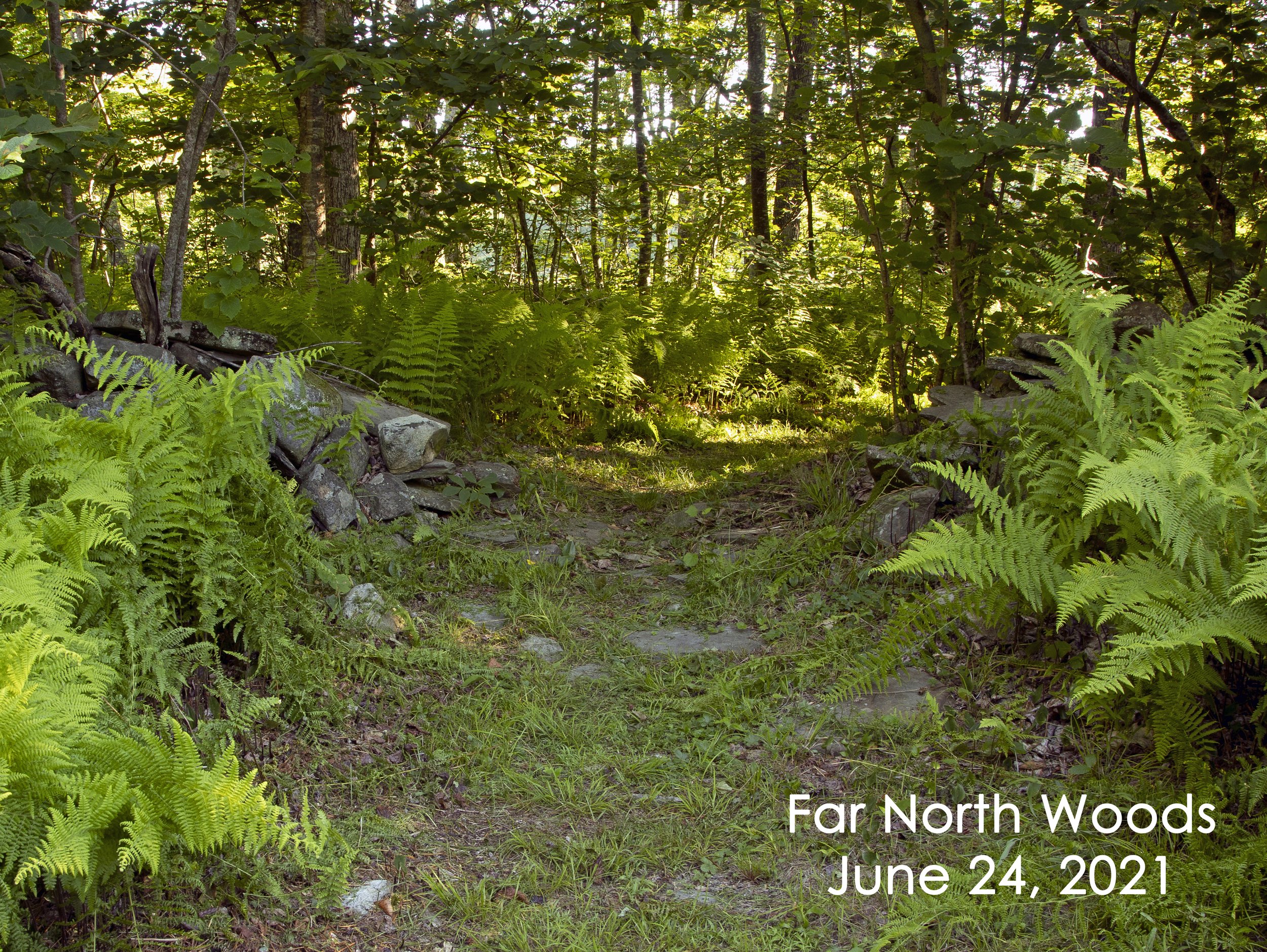 Far North Woods 6-24 label .jpg