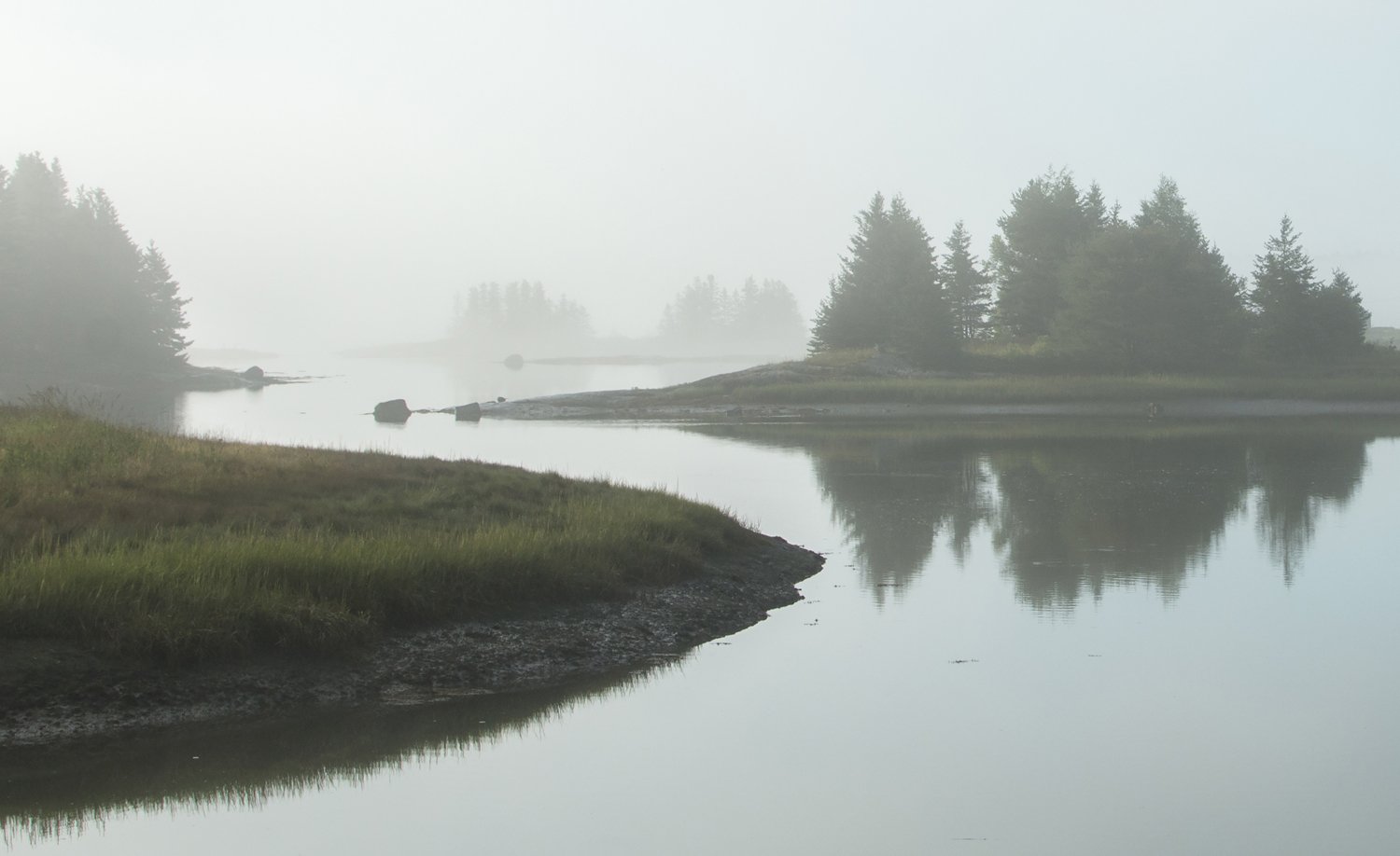 Tremont Marsh, Mount Desert Island, ME