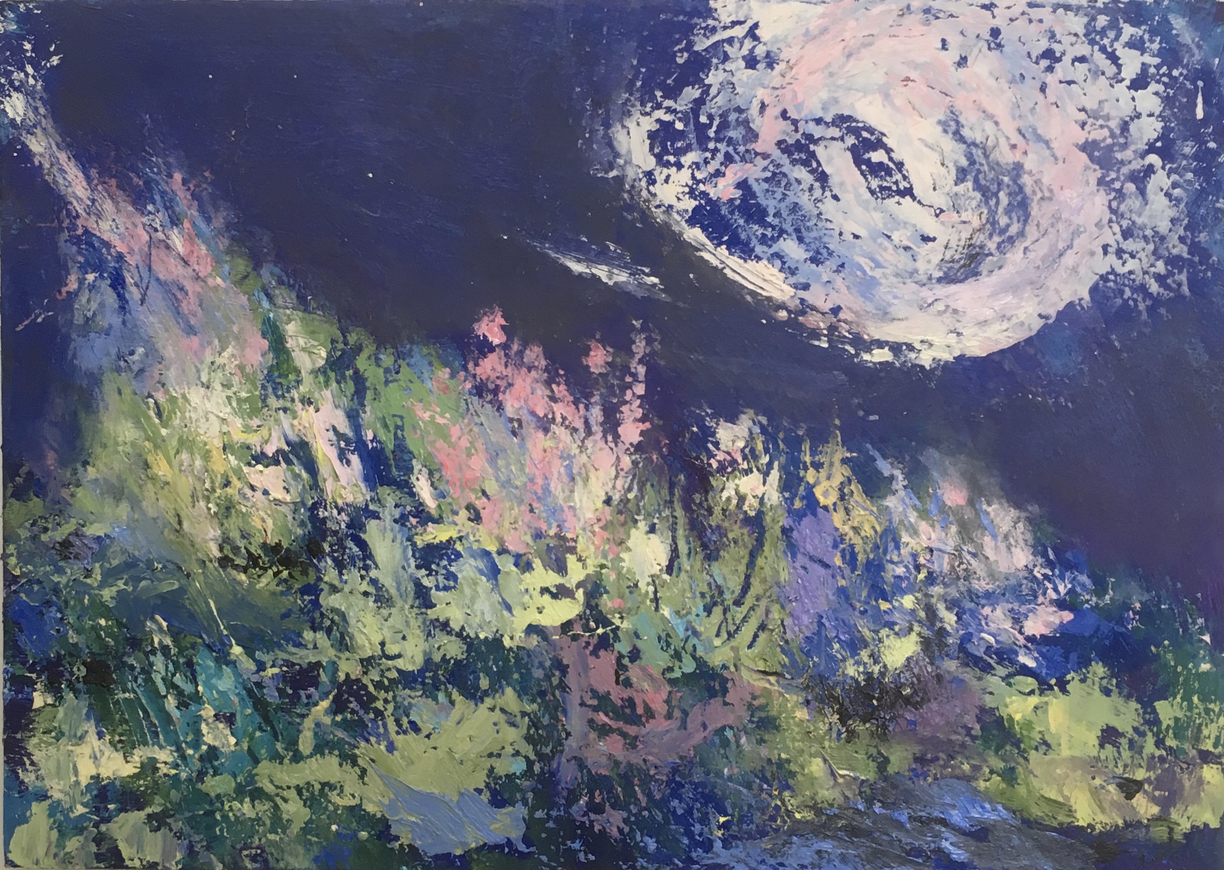 Night Garden