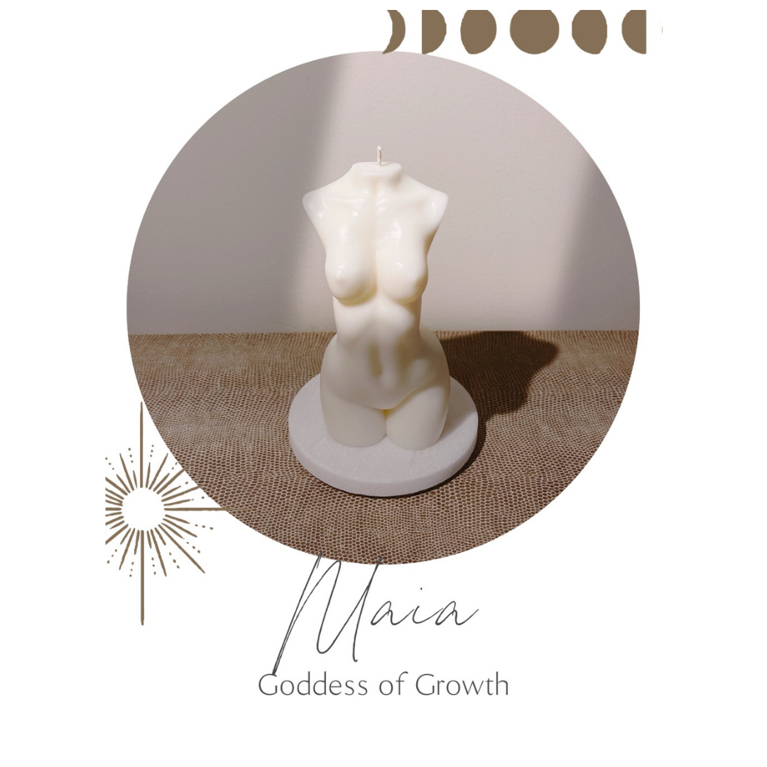 25458003-08FF-4483-B115-B281621F11BB