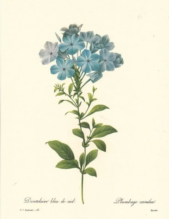 ada7b93cb9379aaf21e514fcdc4c0b9d.jpg