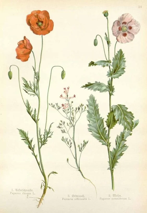 b4994bf4e0f5df6d514a4508f8701606.jpg