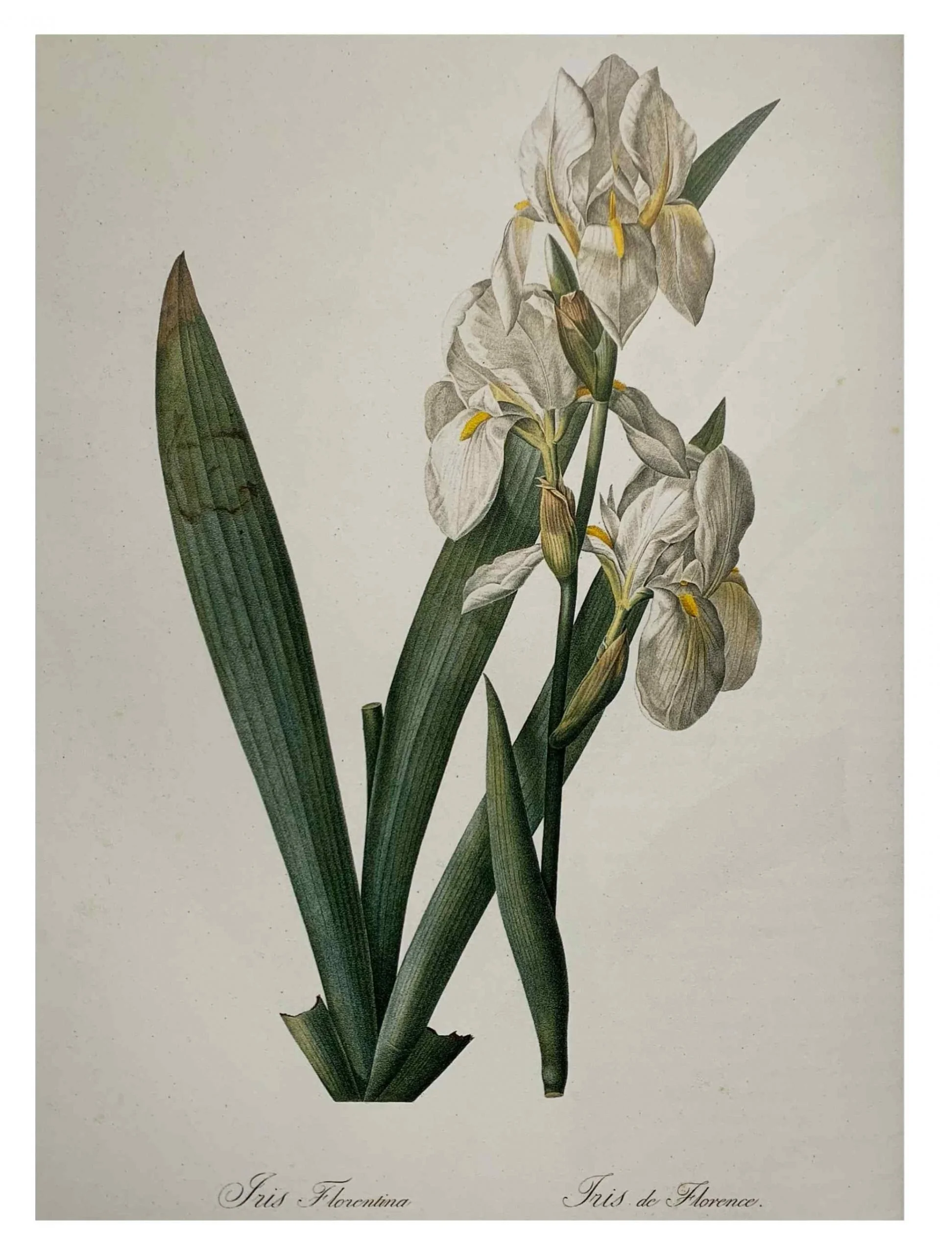 Untitled_Artwork-3-scaled.jpg