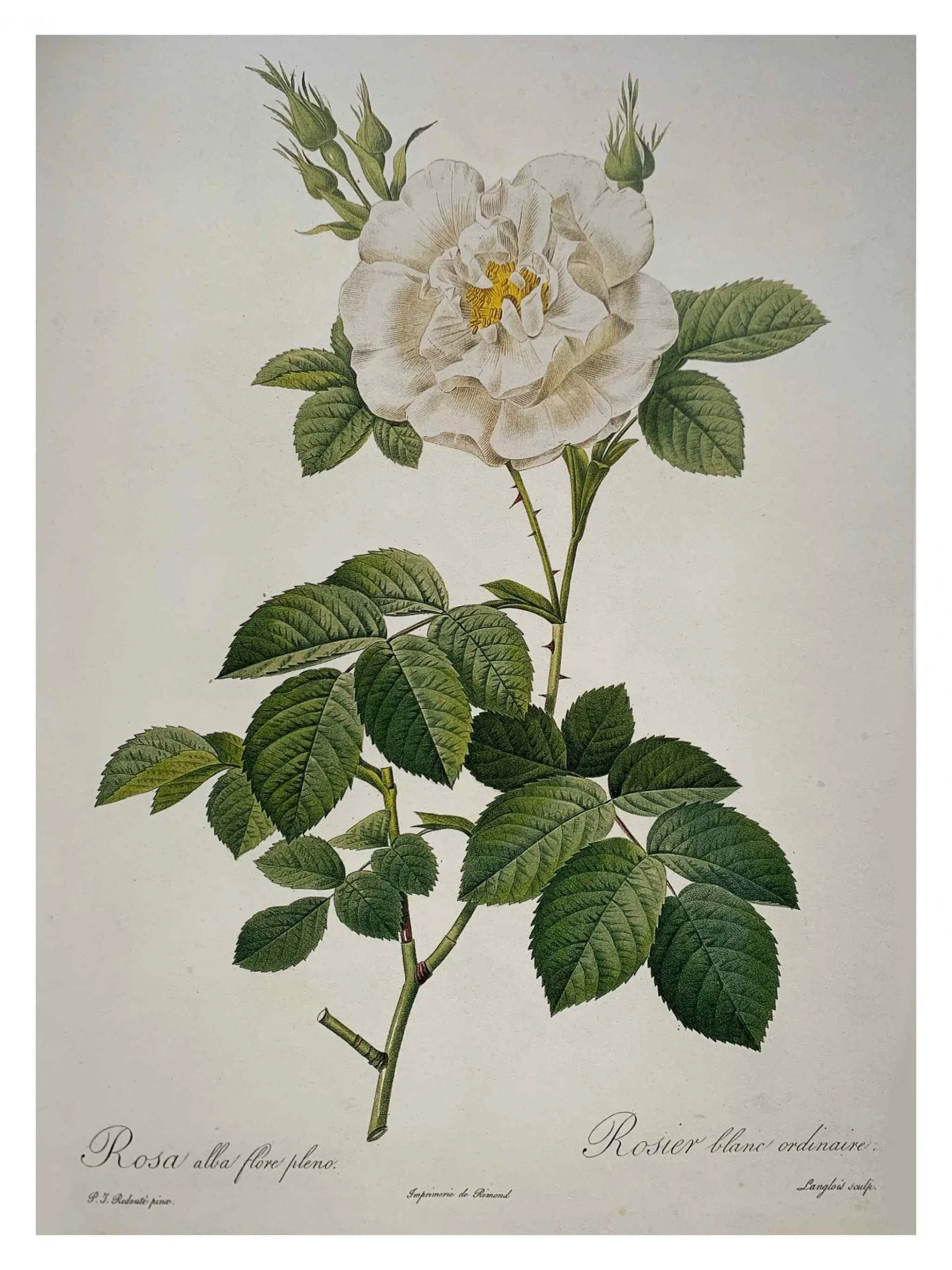 Untitled_Artwork-51-scaled.jpg