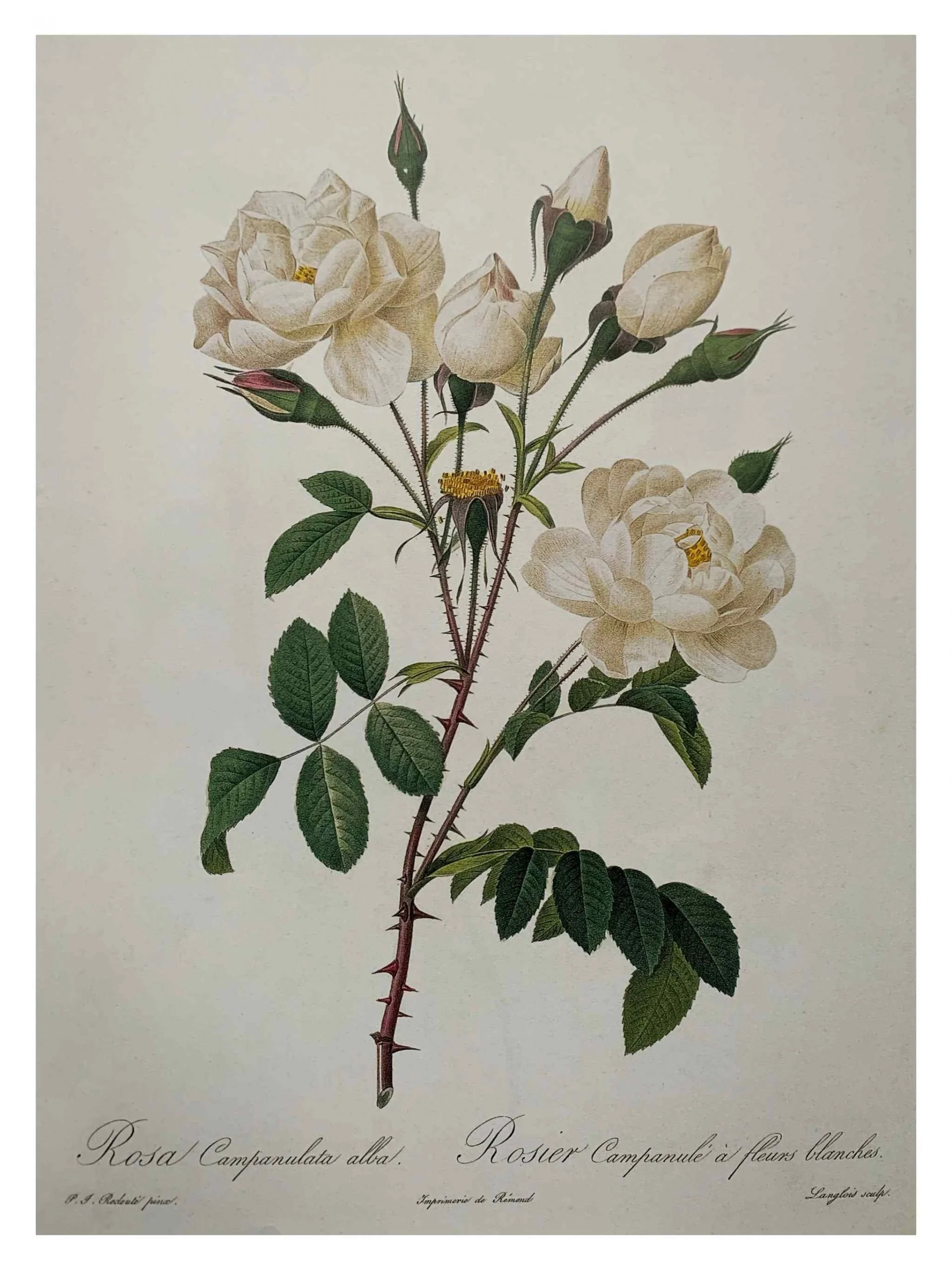 Untitled_Artwork-59-scaled.jpg