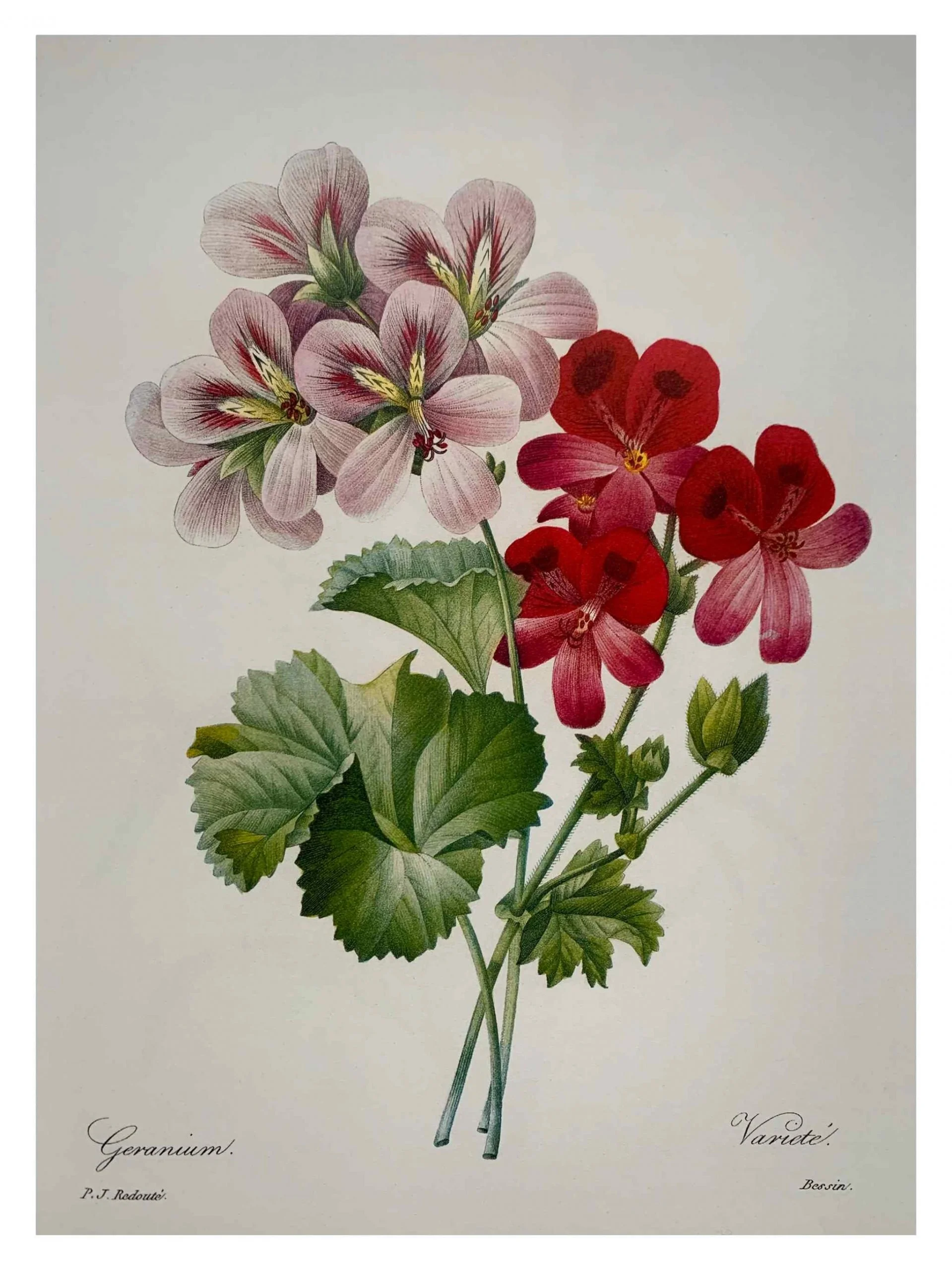 Untitled_Artwork-62-scaled.jpg