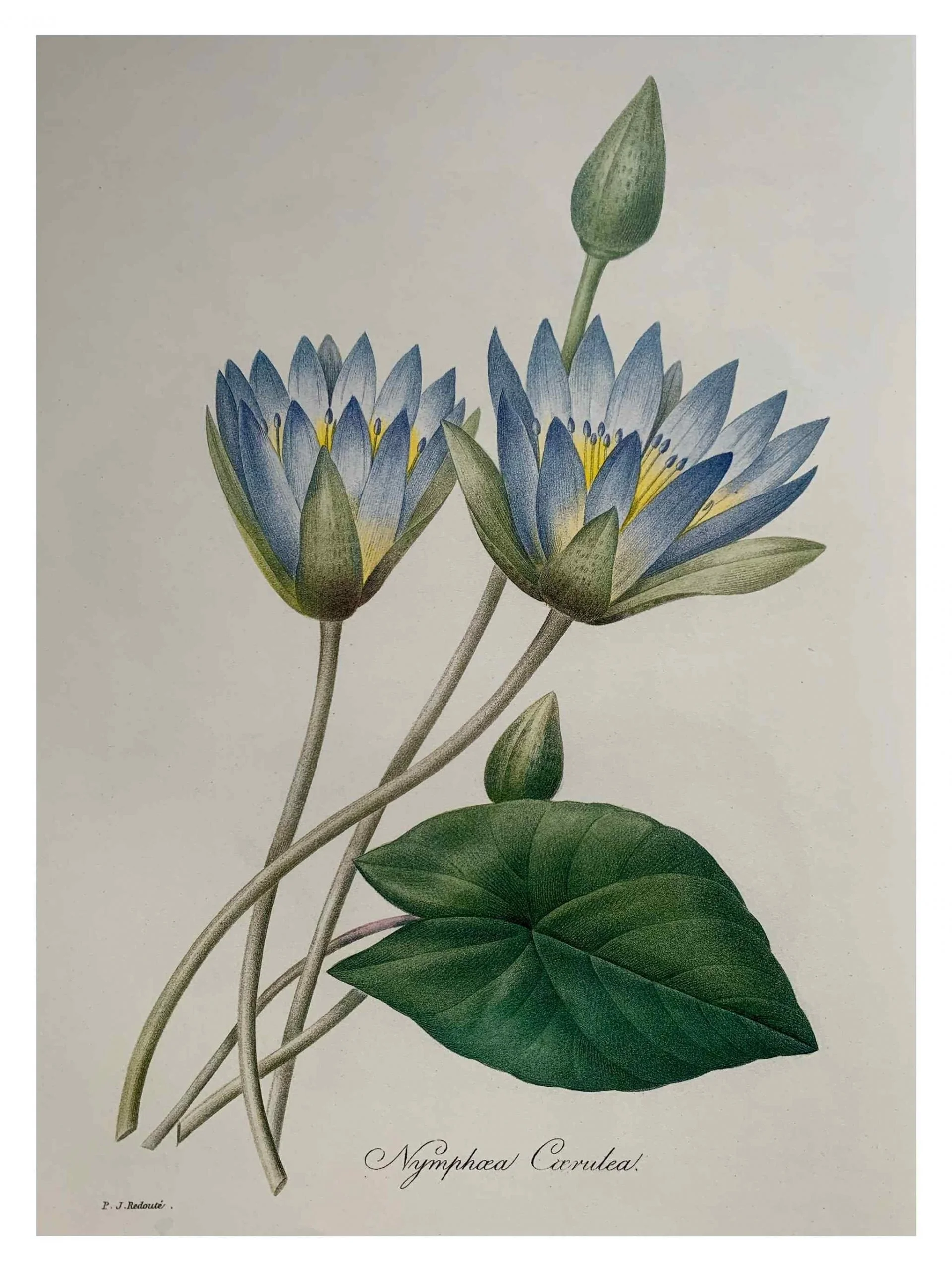 Untitled_Artwork-71-scaled.jpg