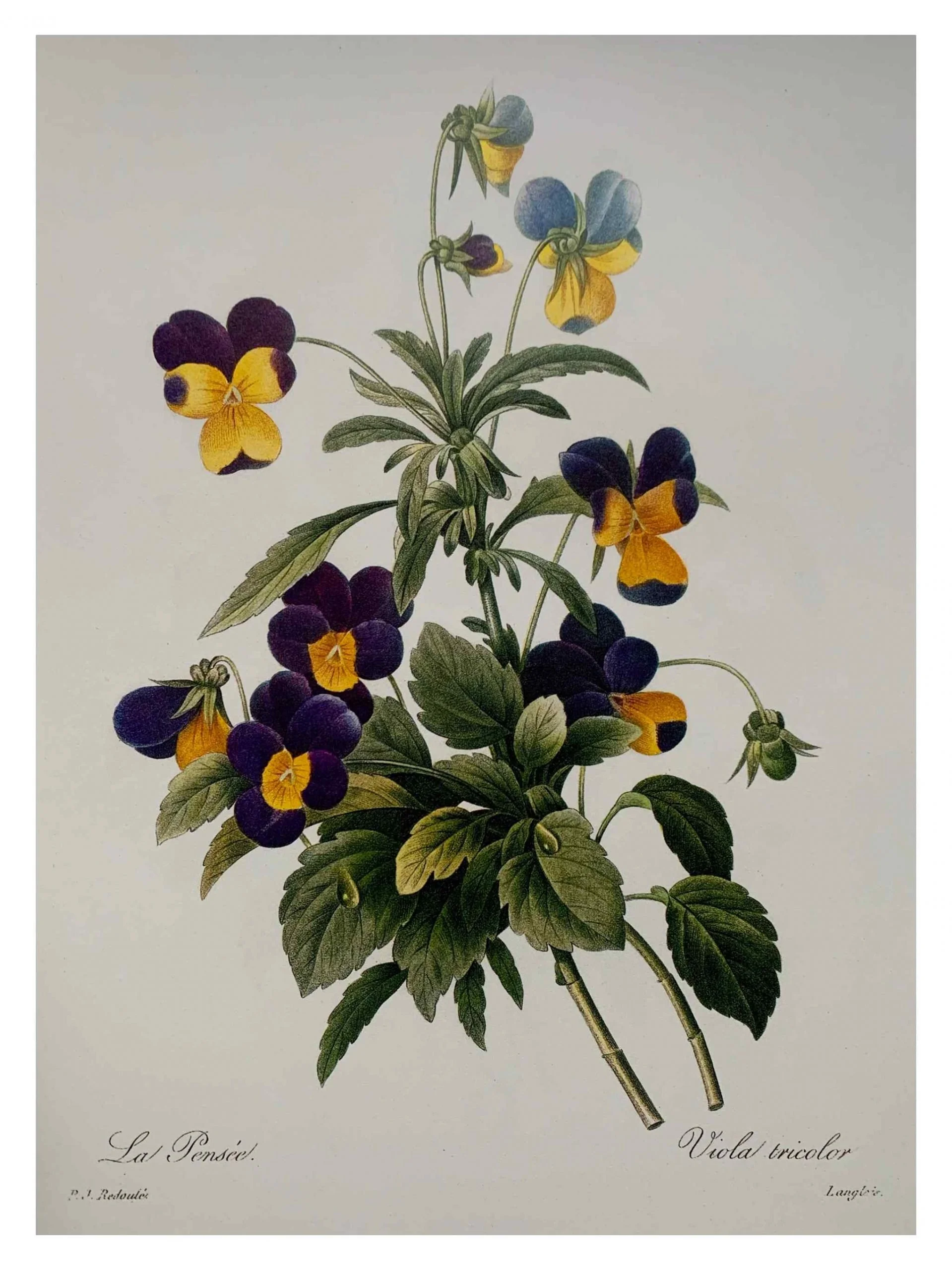 Untitled_Artwork-74-scaled.jpg