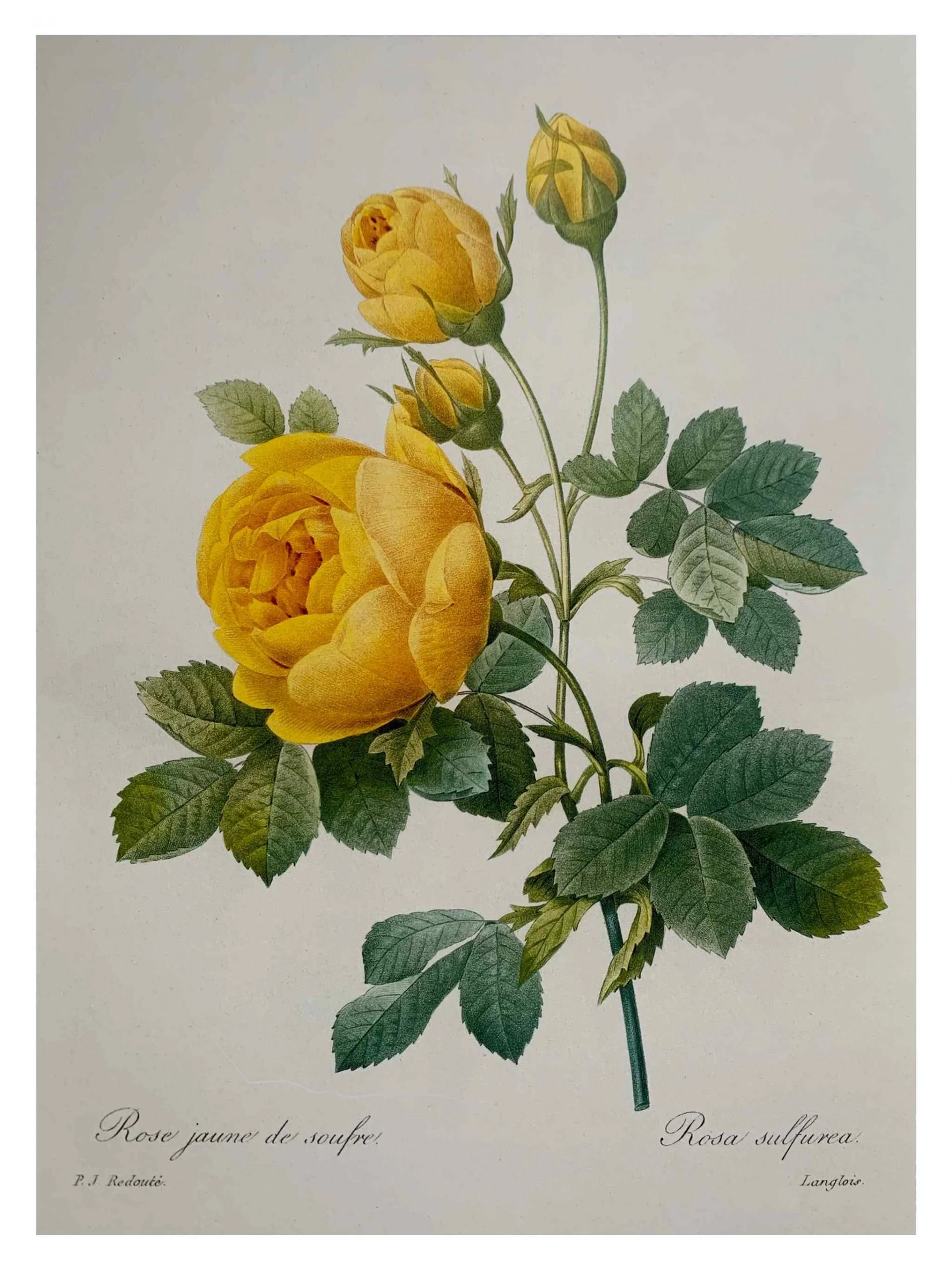 Untitled_Artwork-82-scaled.jpg