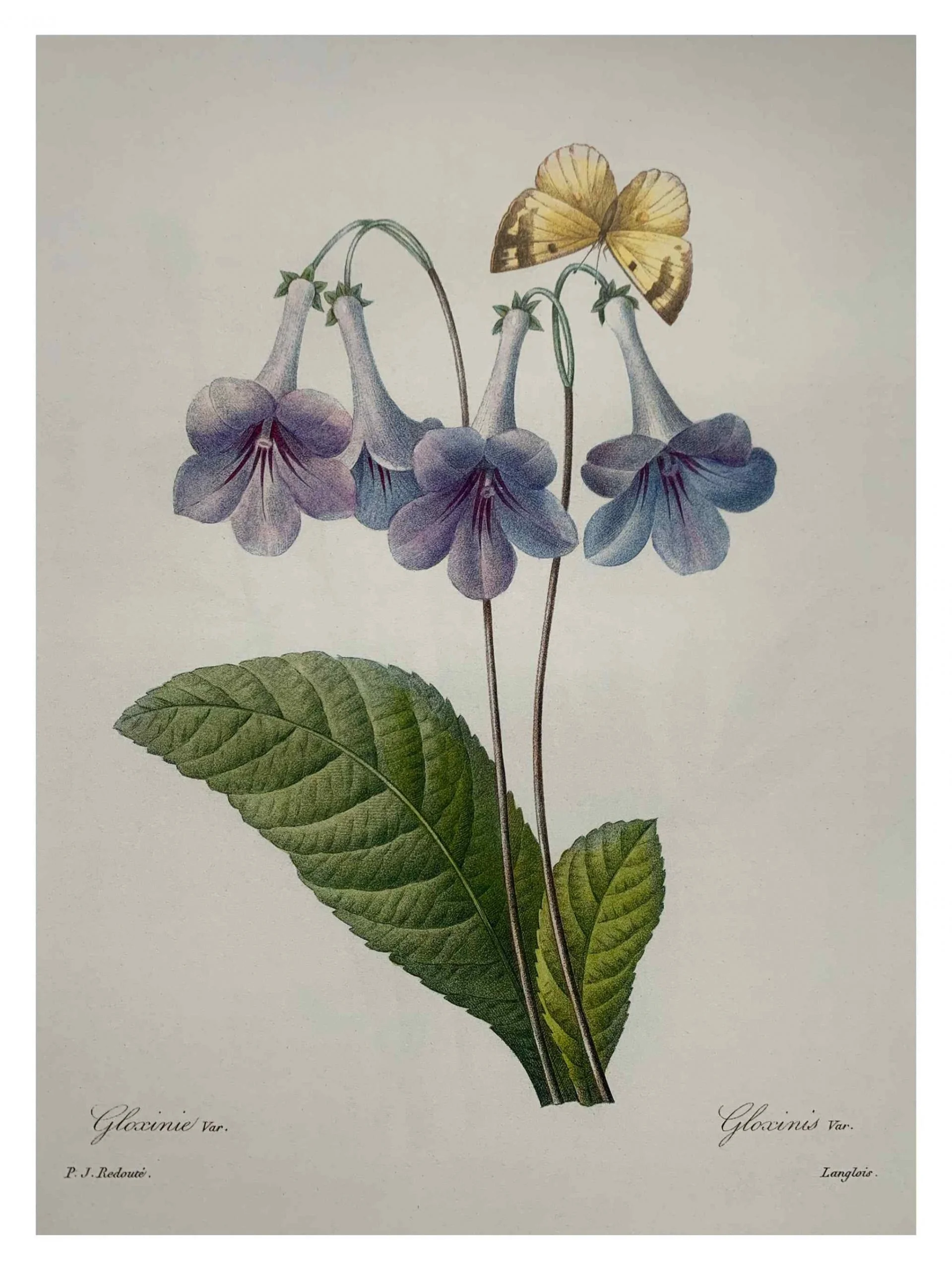 Untitled_Artwork-84-scaled.jpg