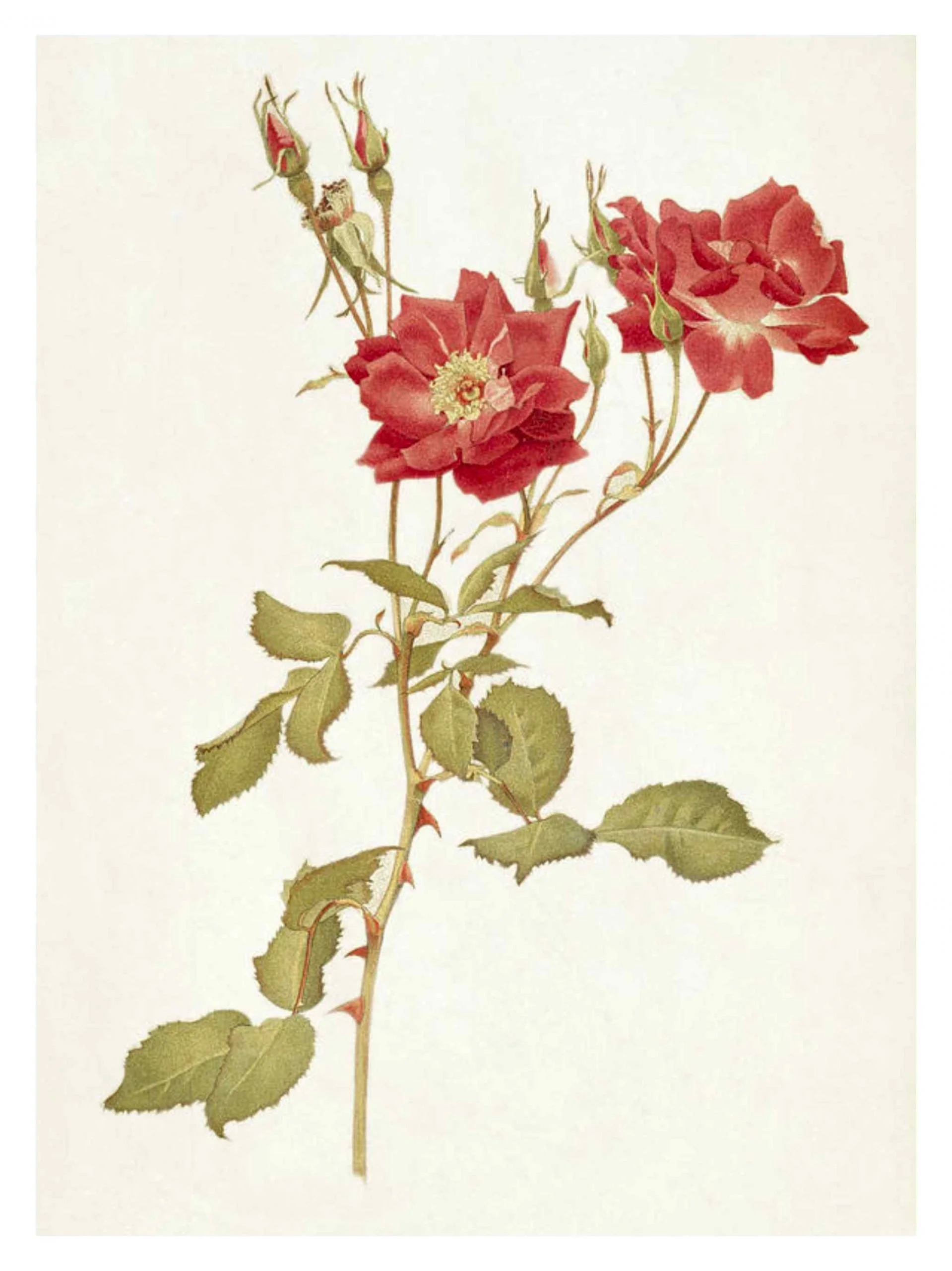 Untitled_Artwork-96-scaled.jpg