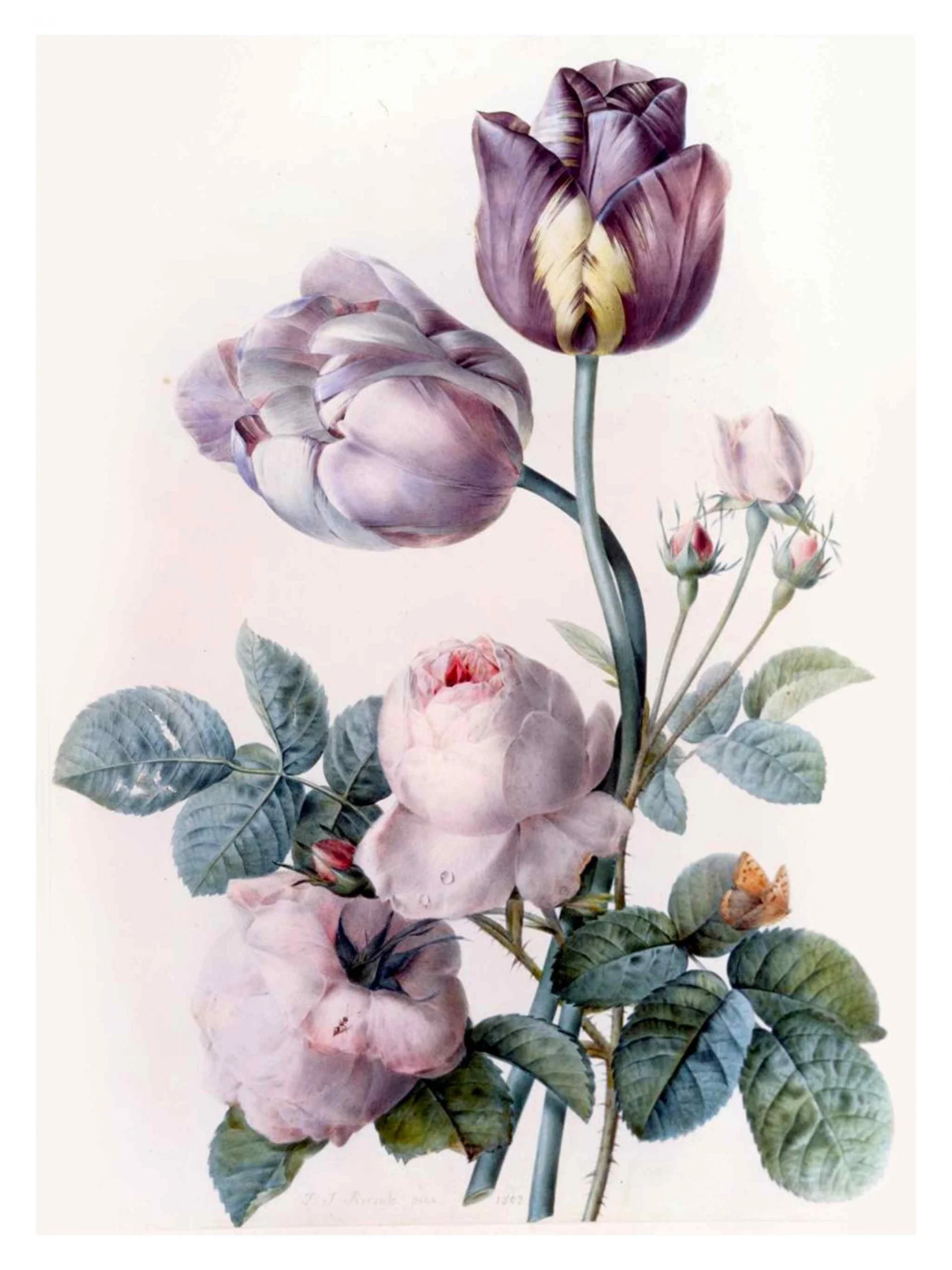 Untitled_Artwork-98-scaled.jpg