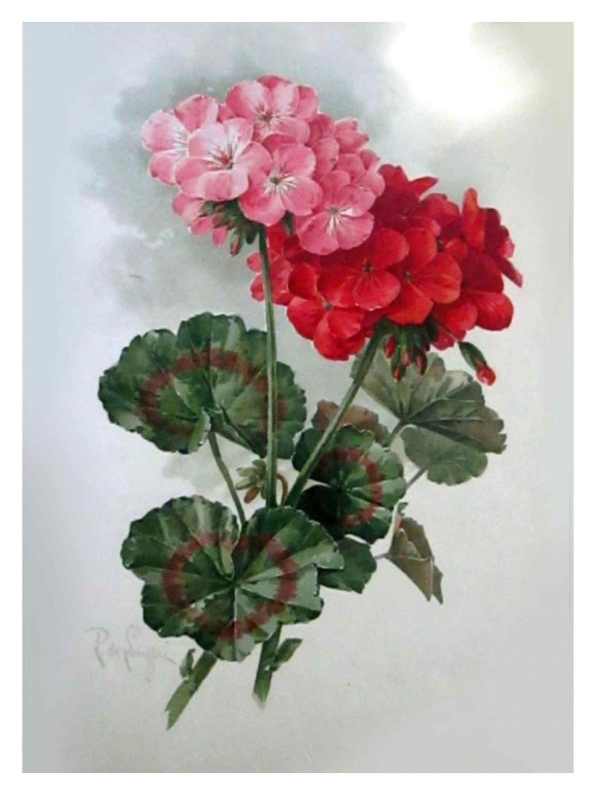 Untitled_Artwork-102-scaled.jpg