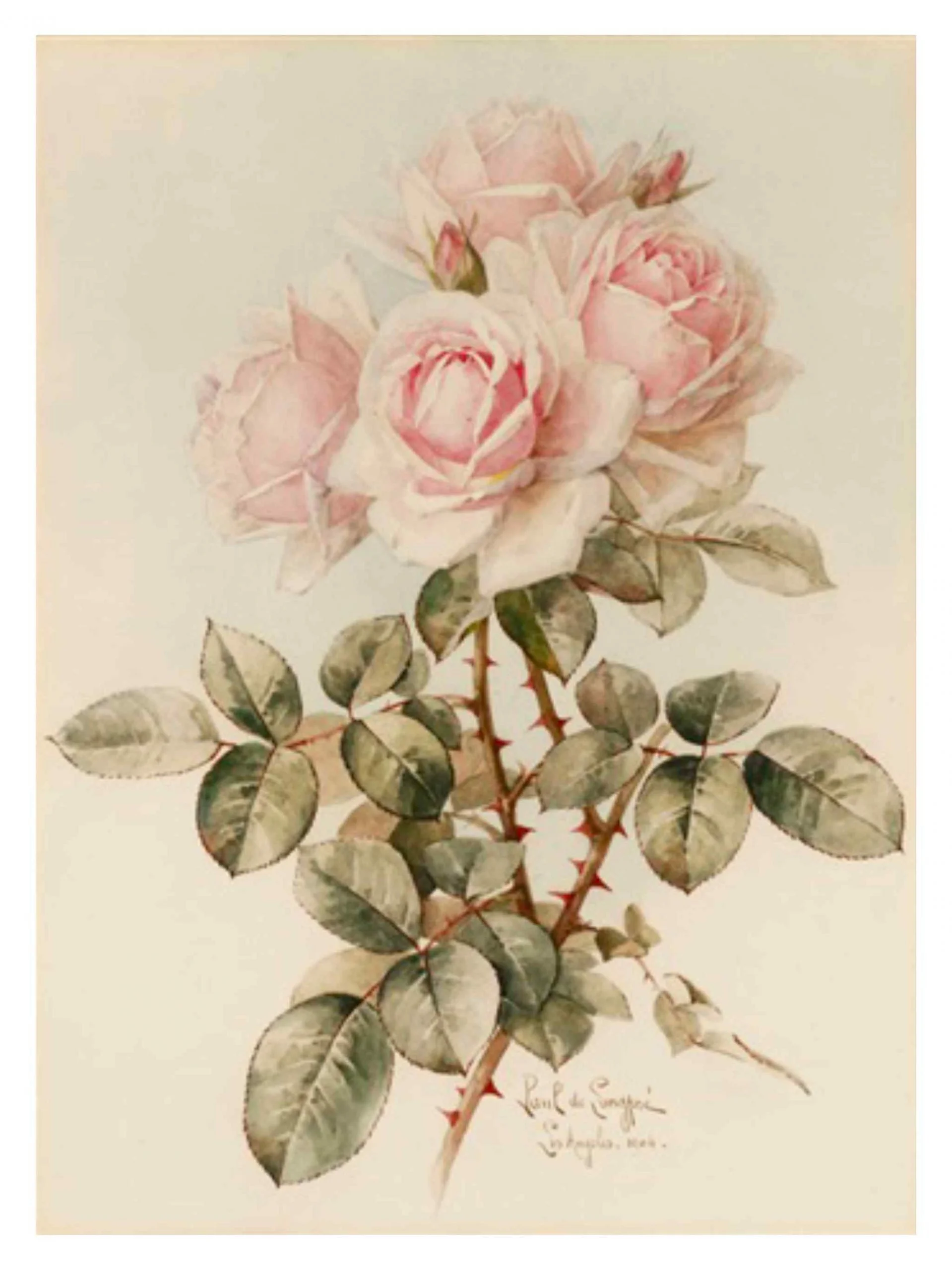 Untitled_Artwork-106-scaled.jpg
