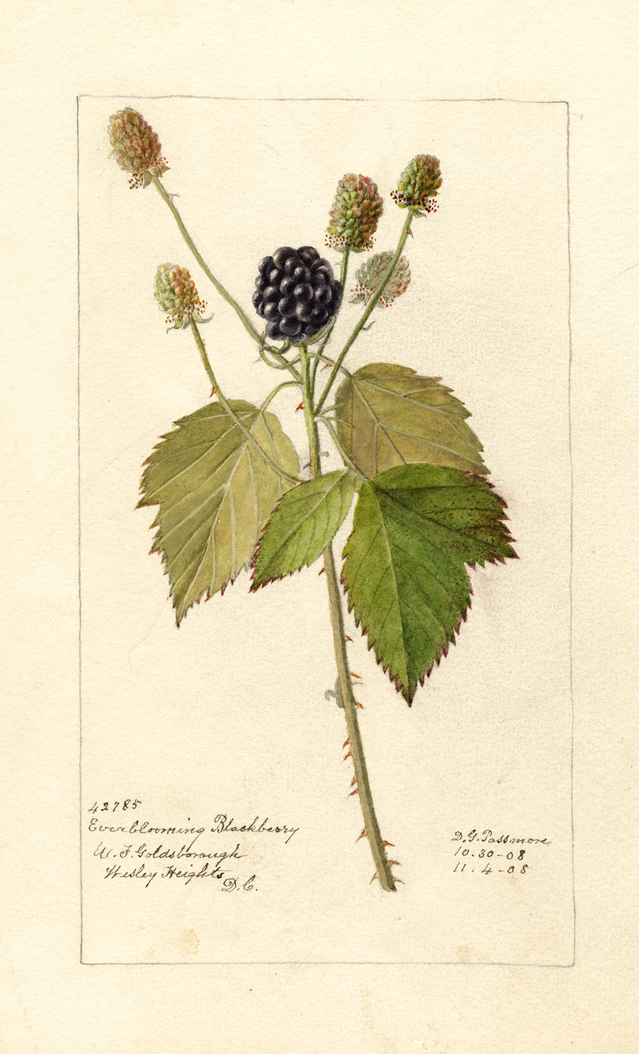 cropped_POM00007254_7037dd4e-b92f-482c-99f9-ec1520180e5c.png
