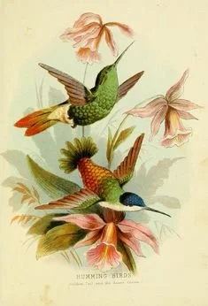 0fae62d332a66f3d4191475bd4721248.jpg