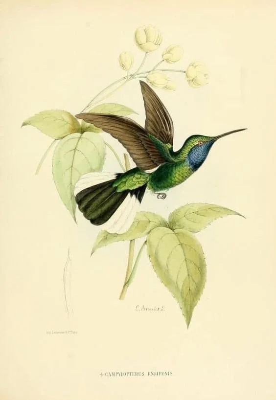 ae33aef76ee9b469cc71e23f2b062048.jpg