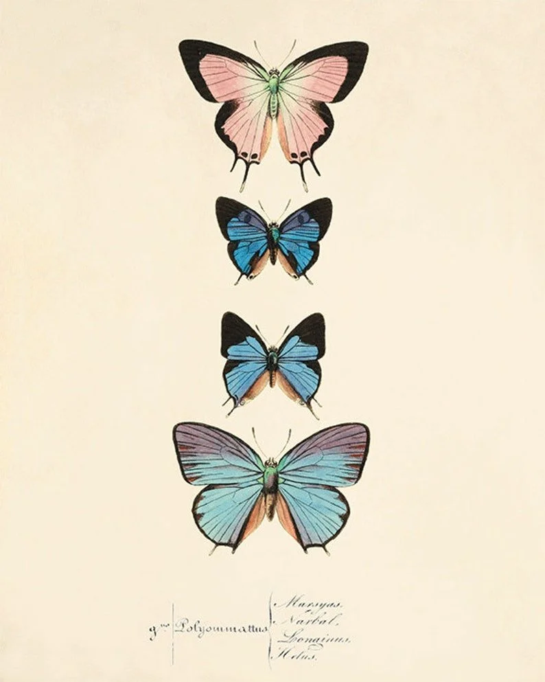 il_794xN.1458158614_fn7j.jpg