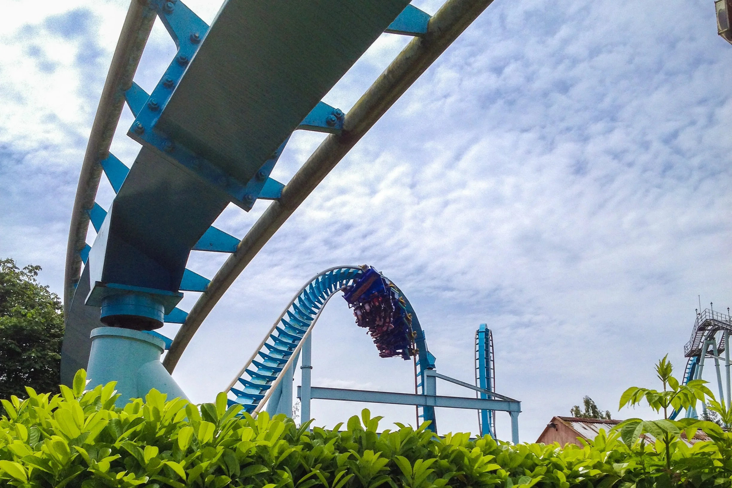 The Shockwave