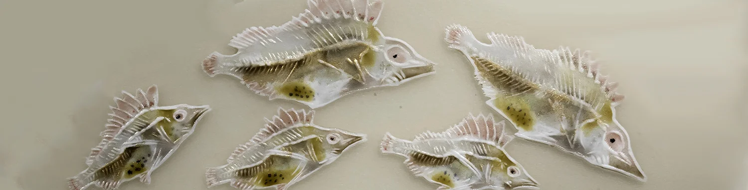 Squarespace V2 Monoprint  Workshop Banner .jpg