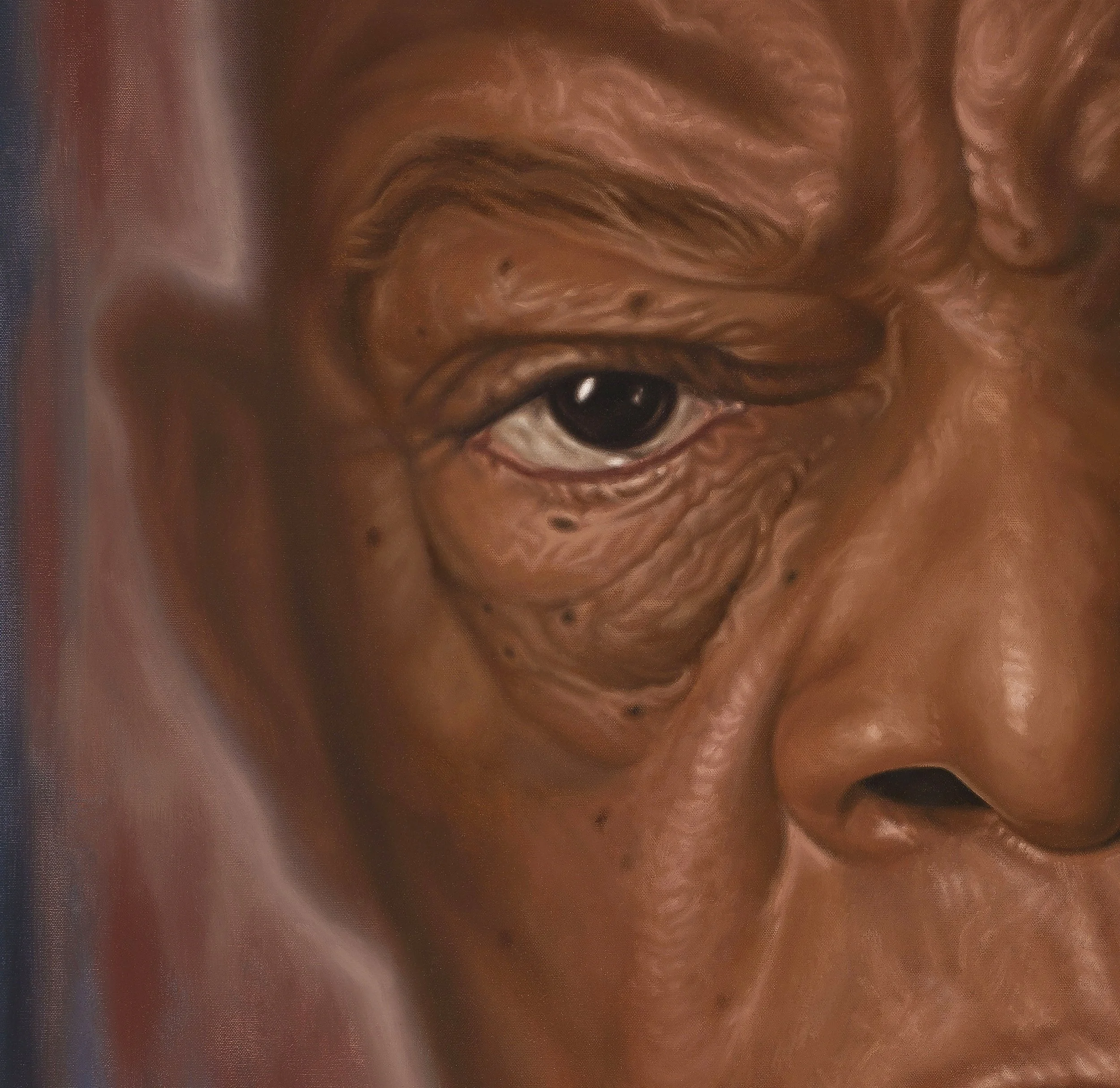 john lewis eye detail.jpg