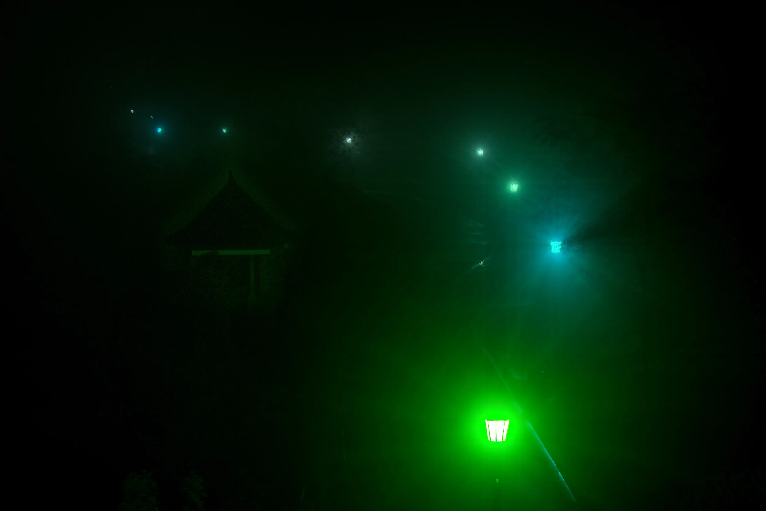 Light the Way.jpg