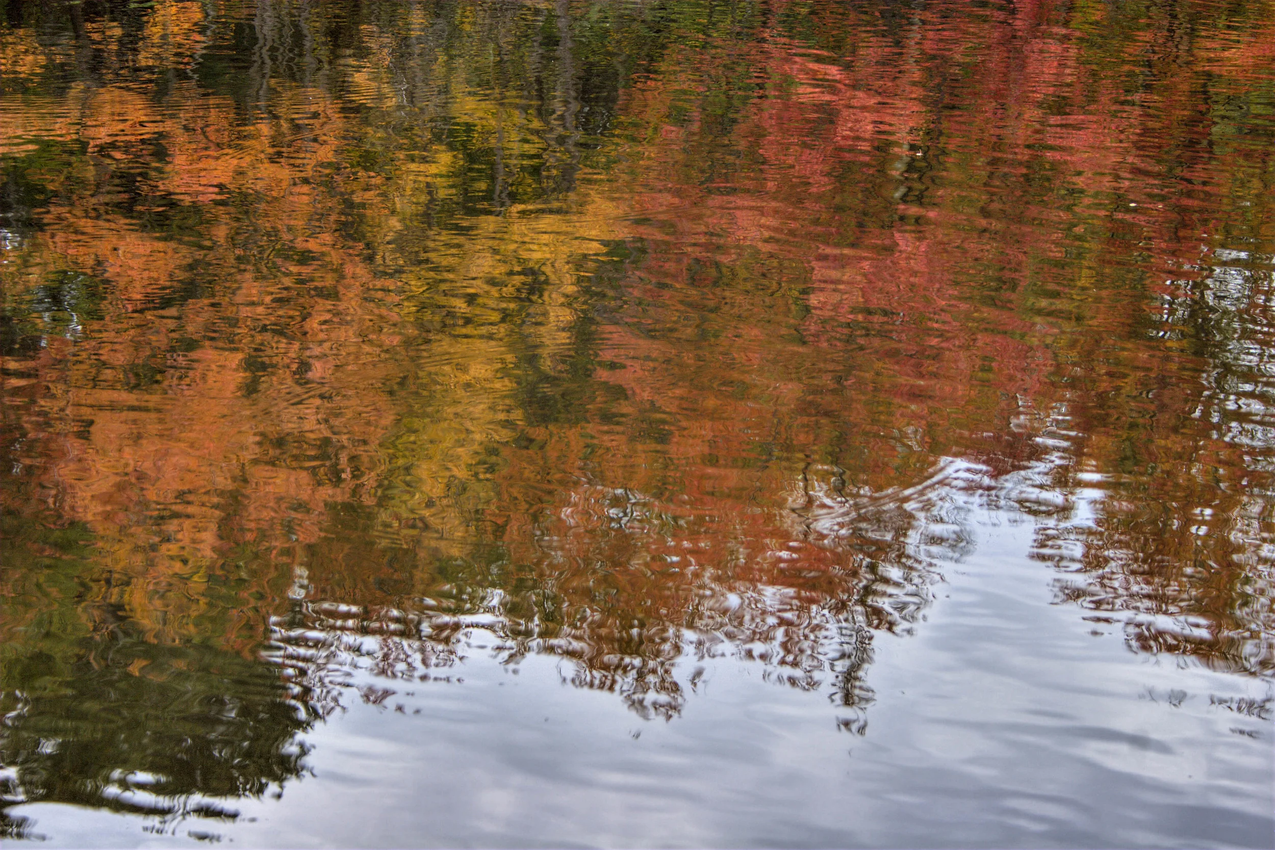 Water Color.jpg
