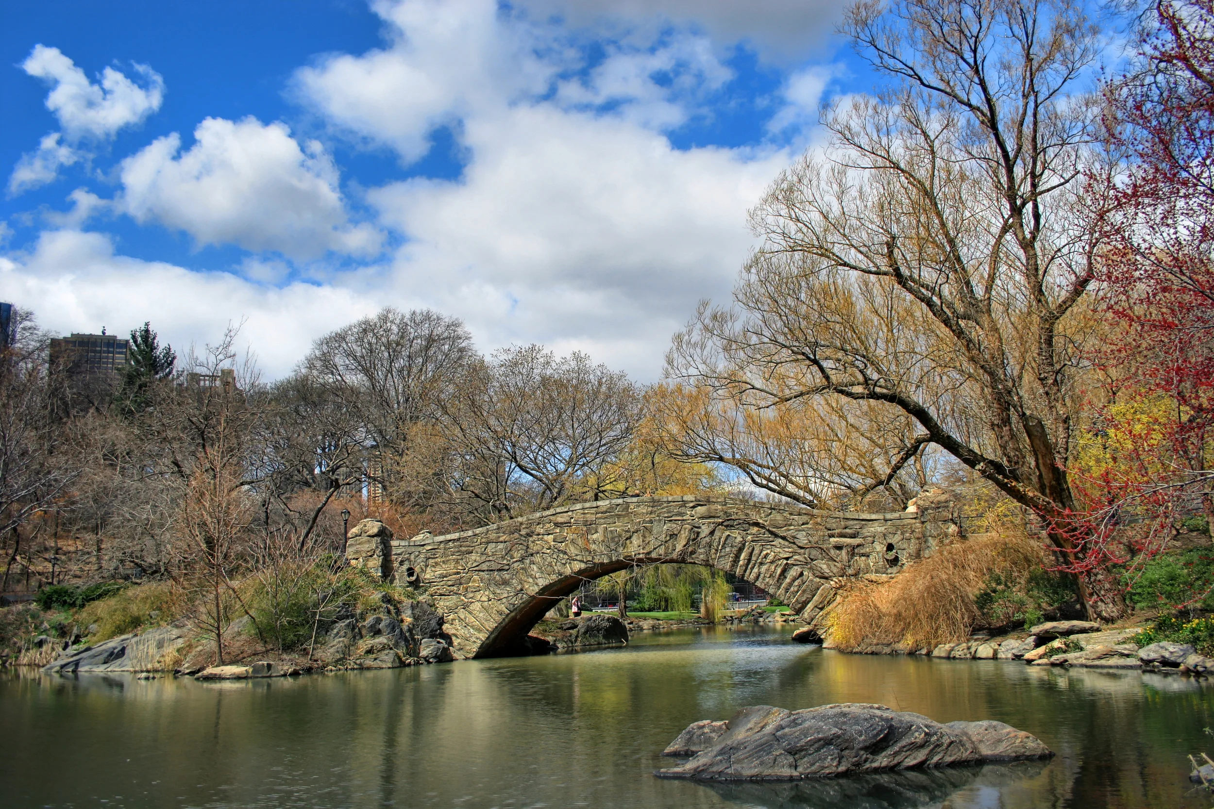 Spring into 2007.jpg