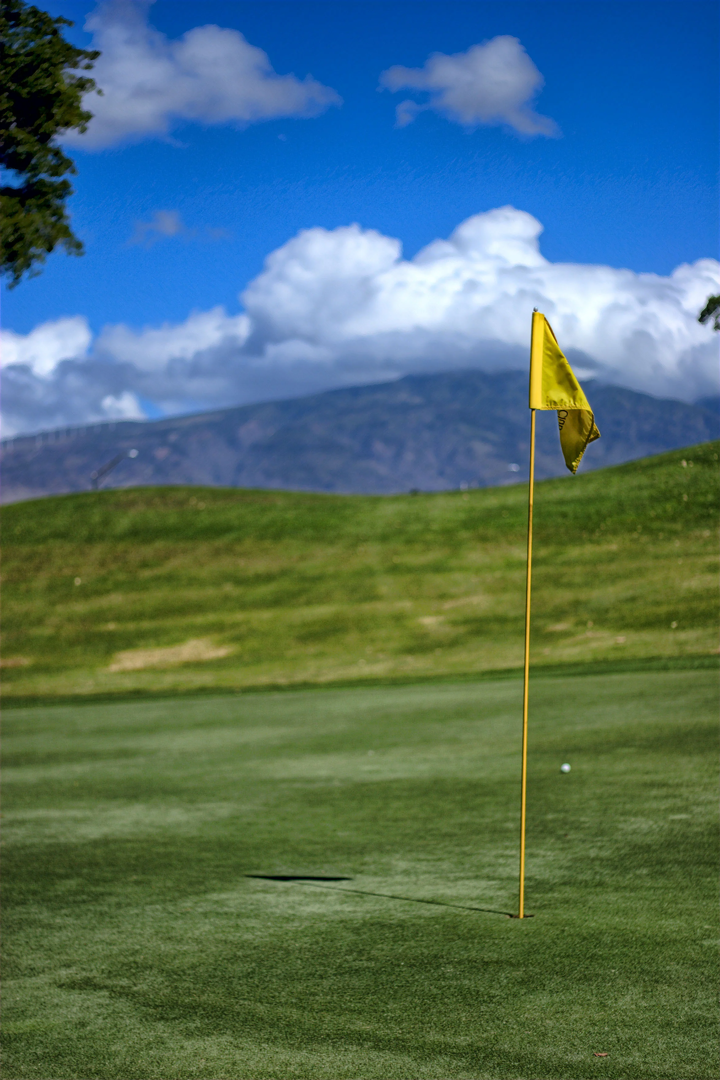 Eagle Putt.jpg