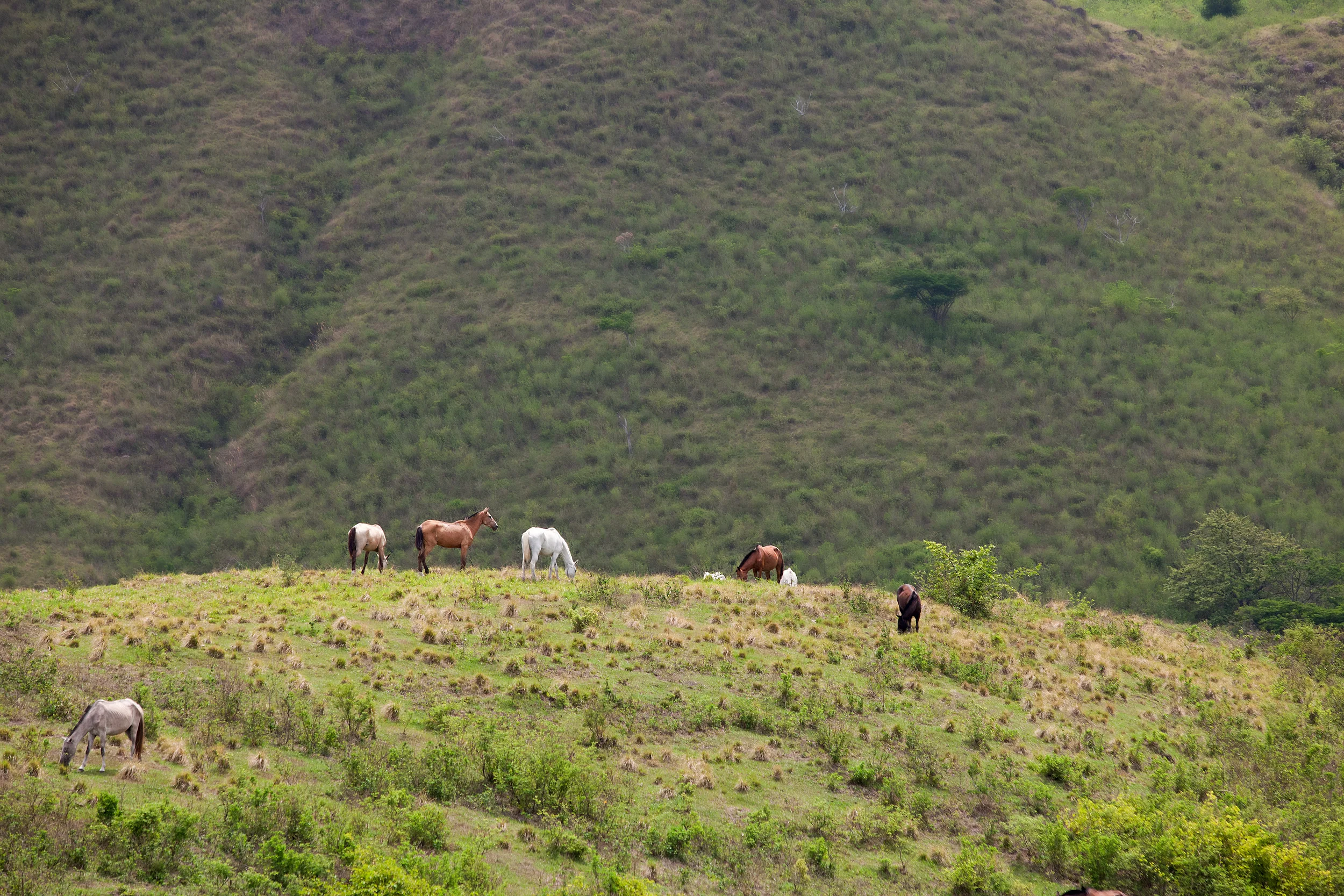_MG_3635.jpg