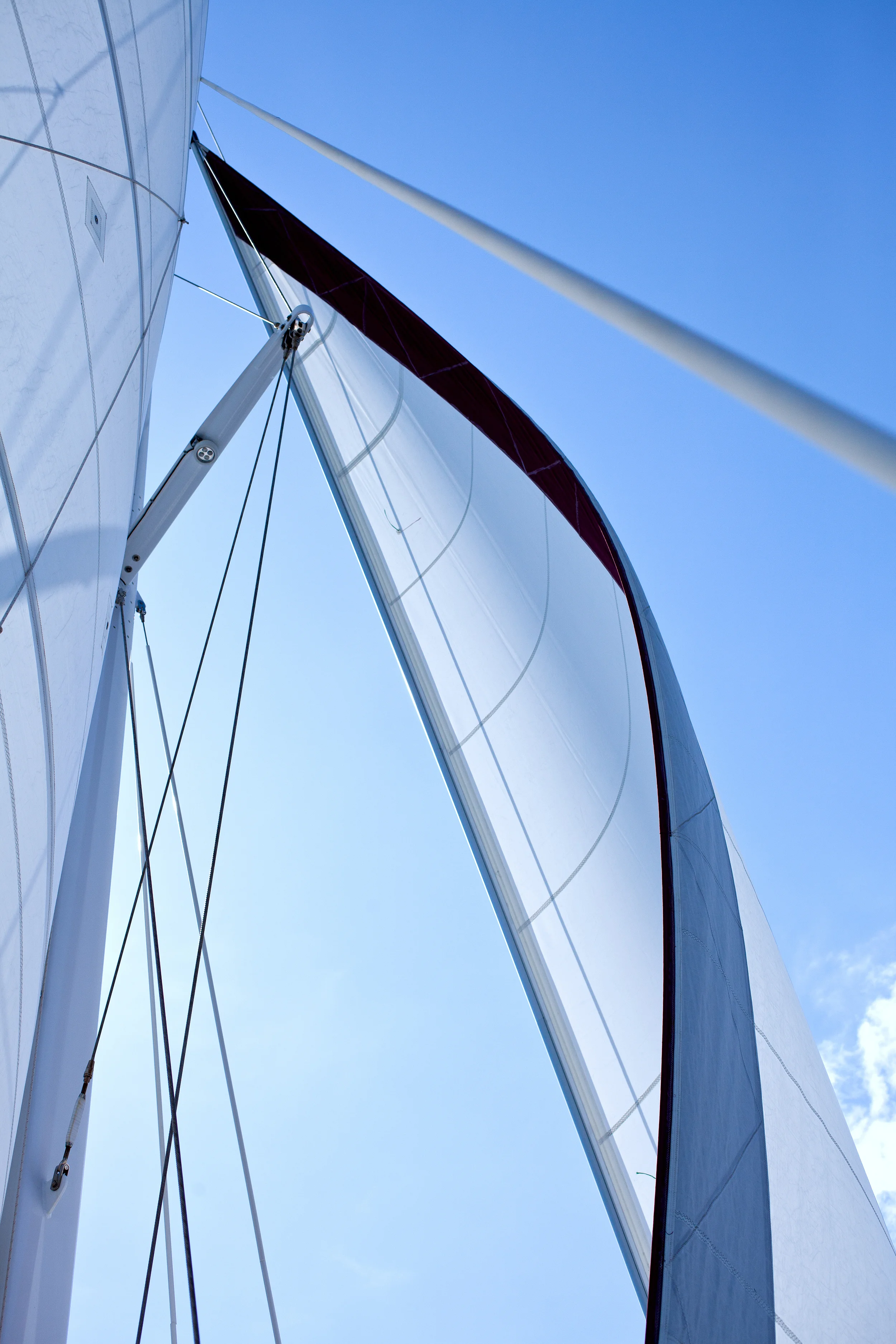 _MG_3461.jpg