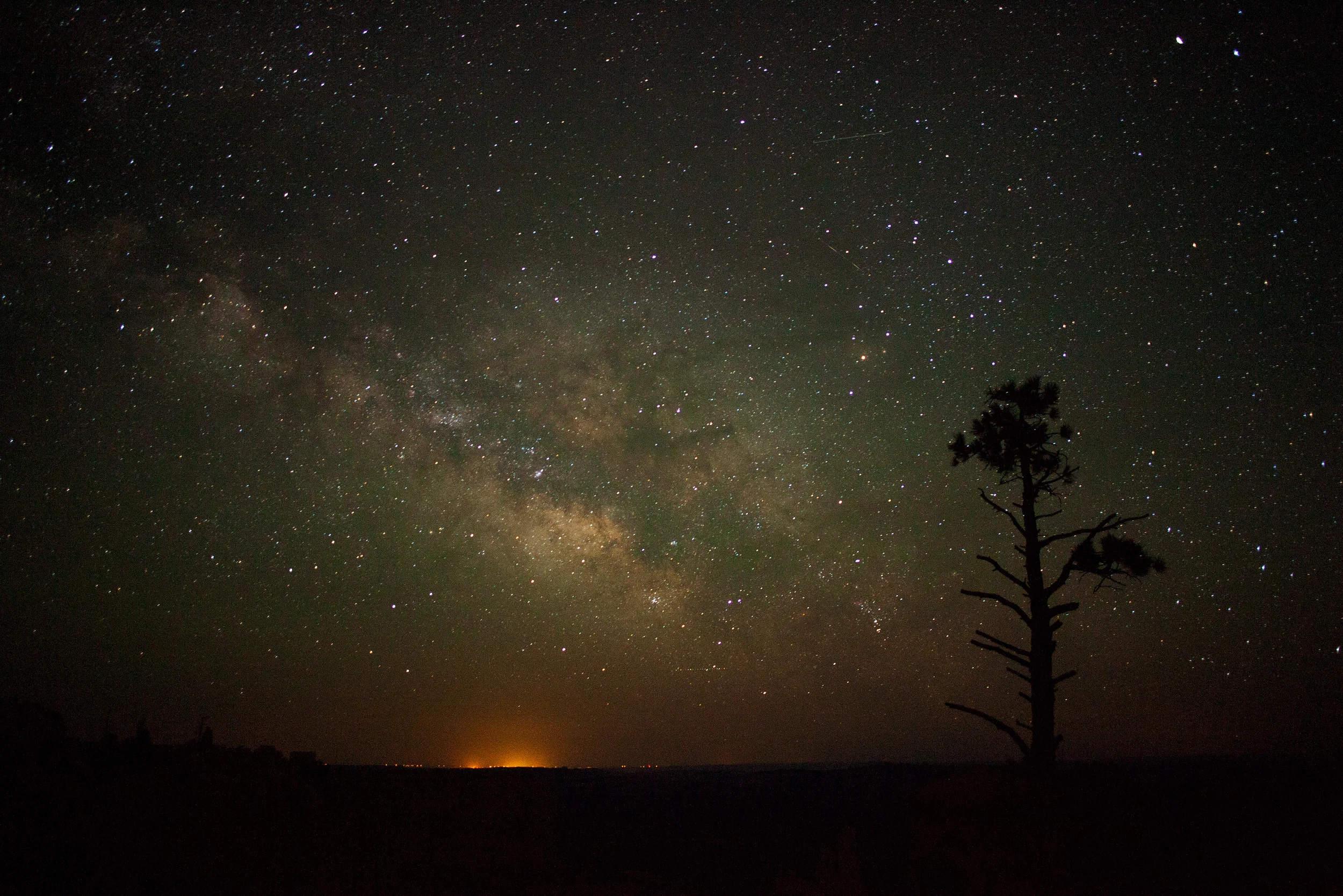 Tree_and_Milky_Way.jpg
