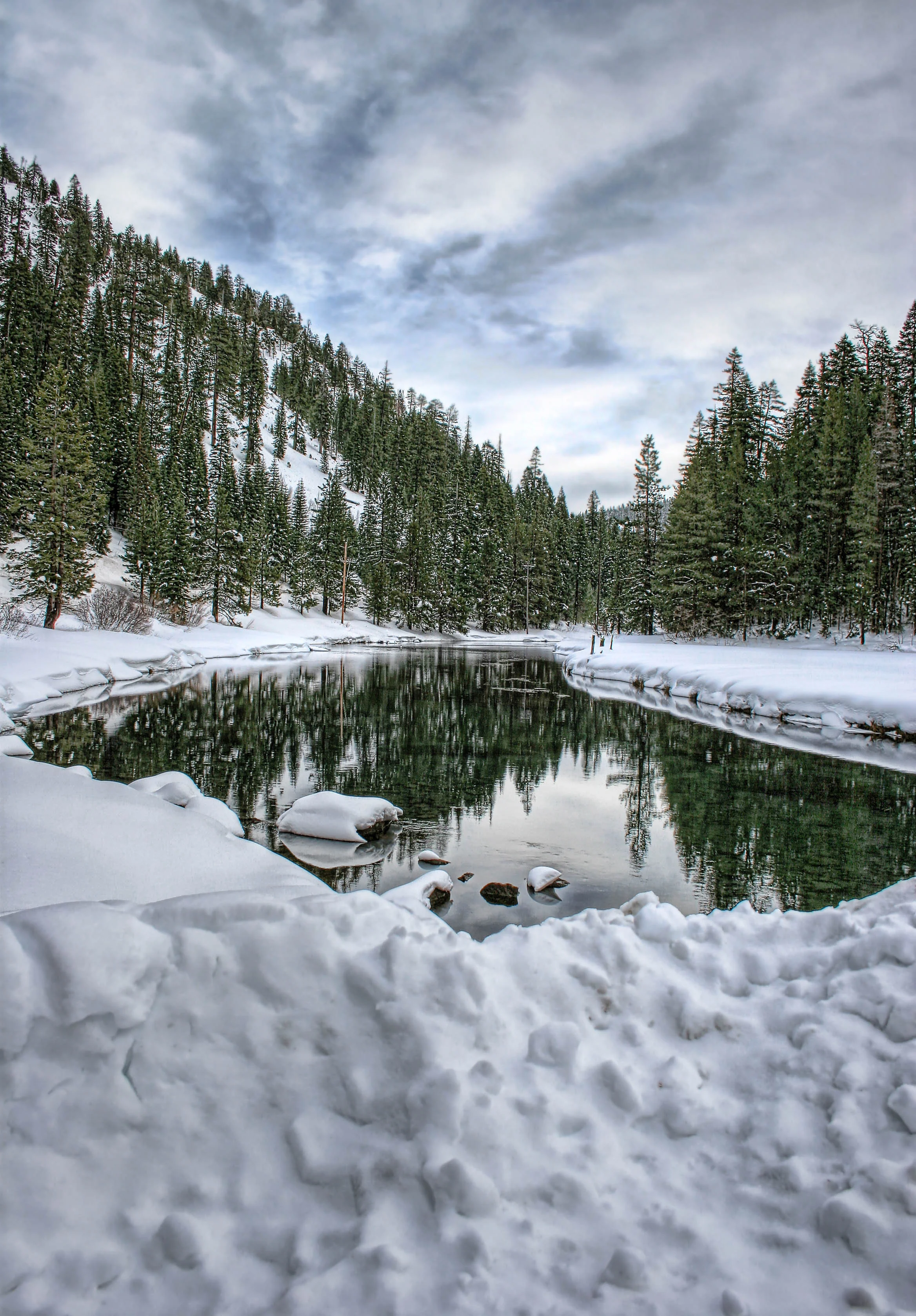 Reflections in a Wonderland.jpg