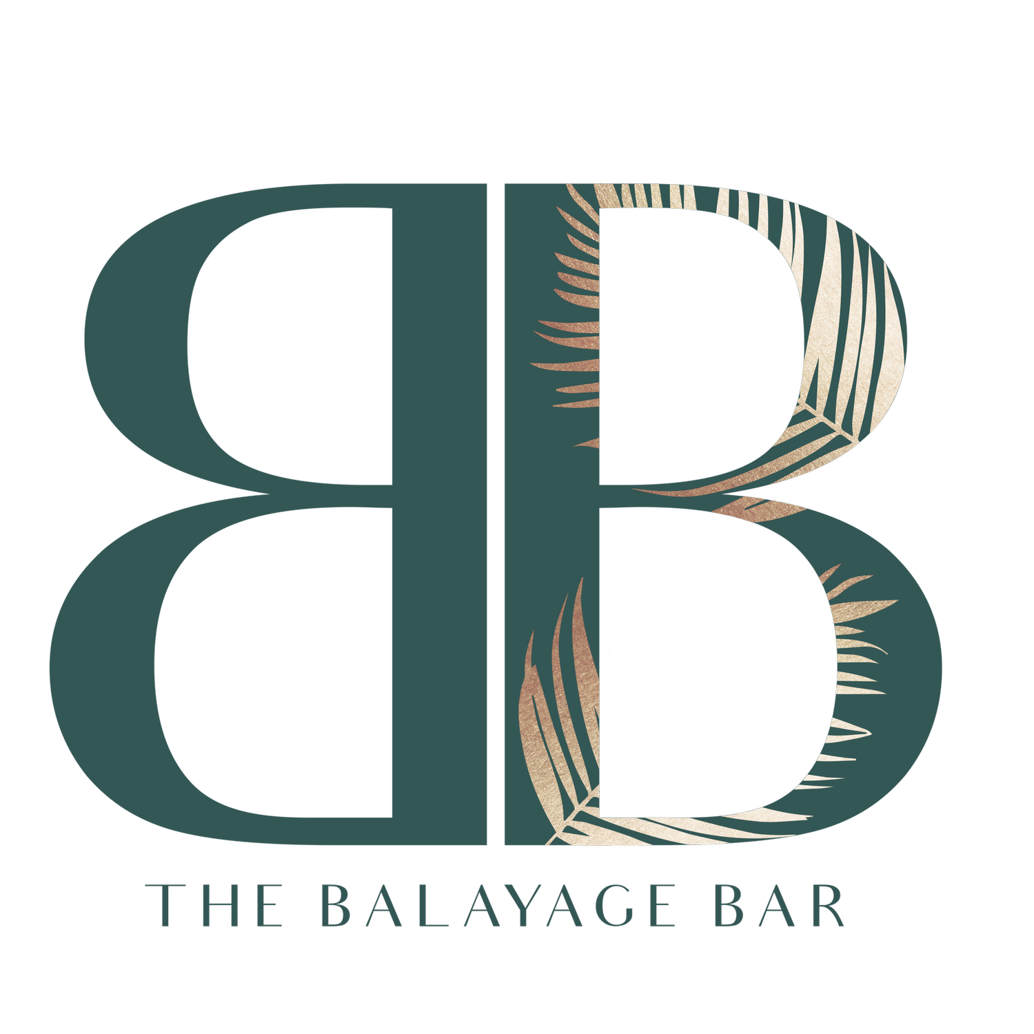 The Balayage Bar