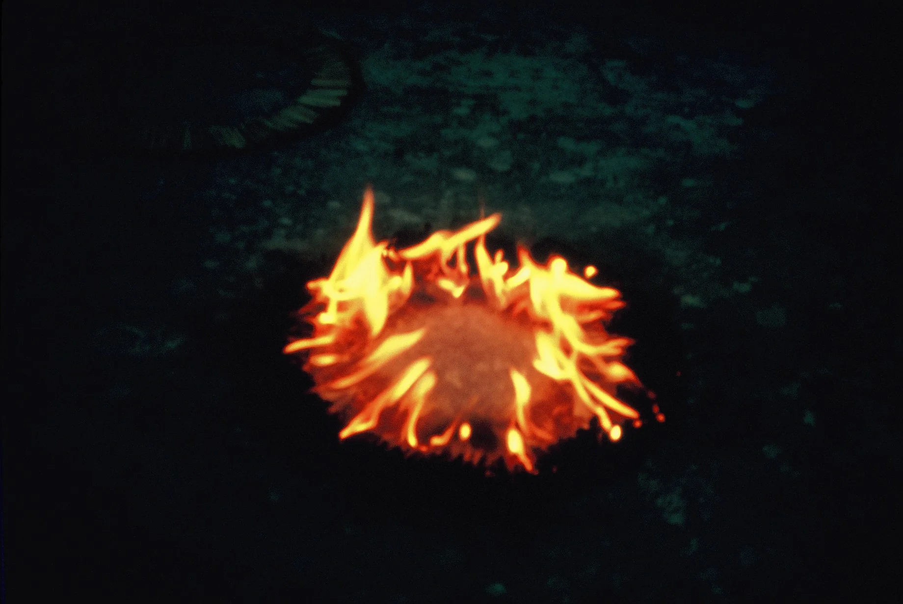  NSCAD fire ring. 1994 