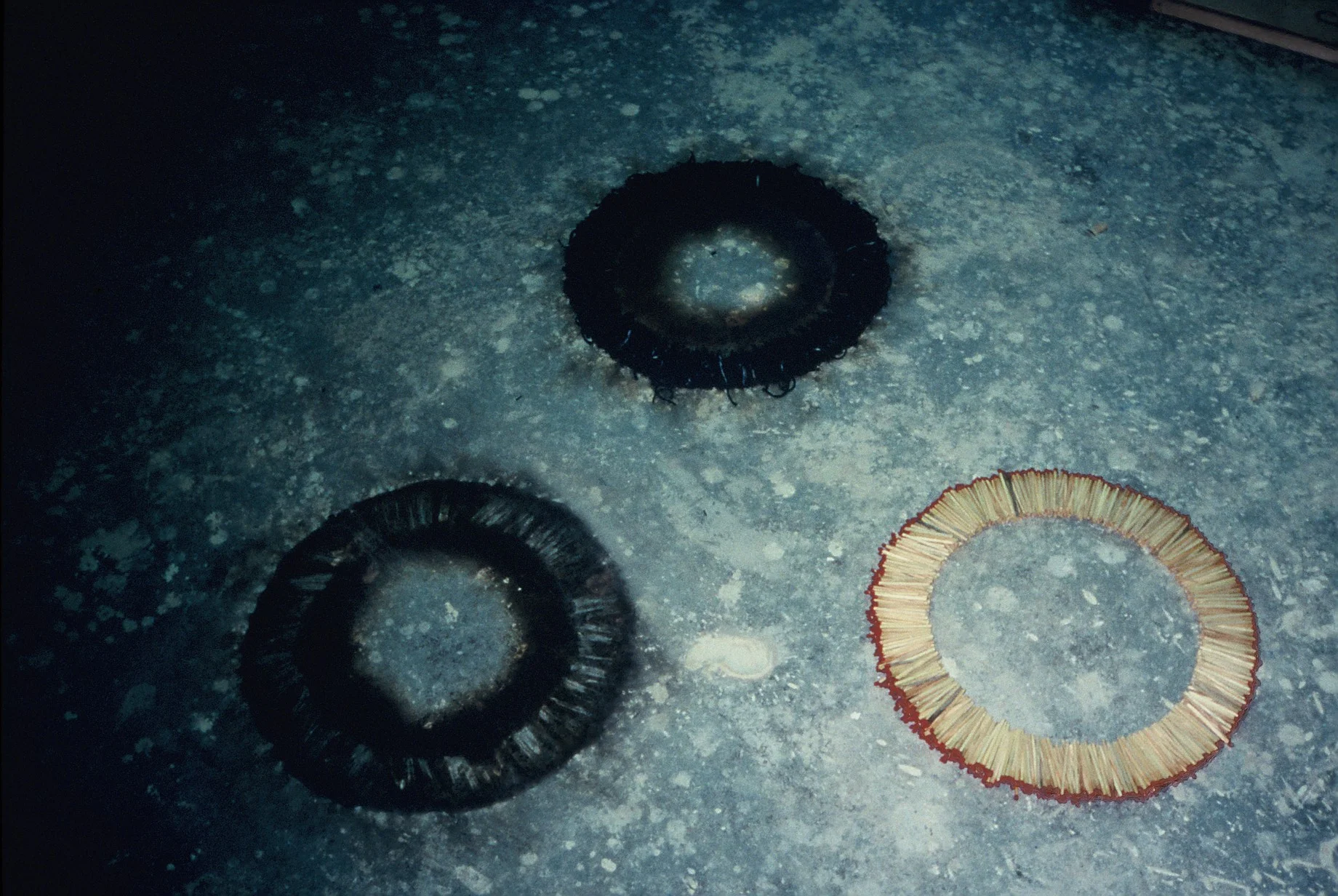  NSCAD rings, burn marks. 1994 